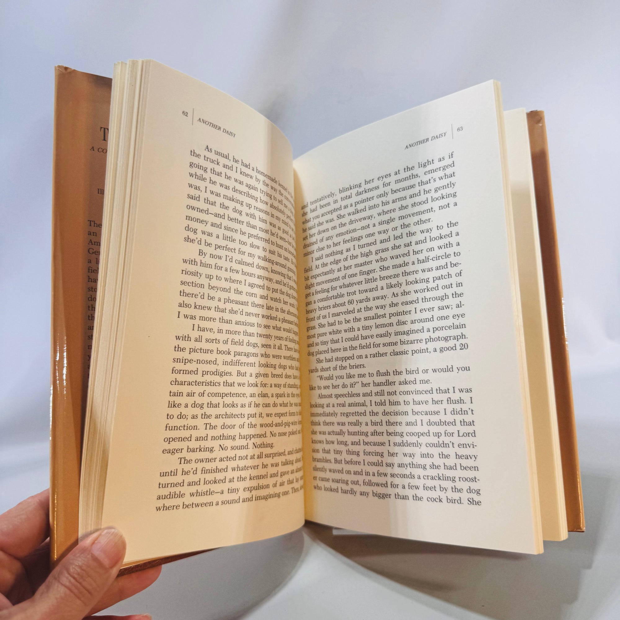 Tears & Laughter by Gene Hill | A Couple of Dozen Dog Stories | Vintage Hardcover with Dust Jacket | Free Shipping