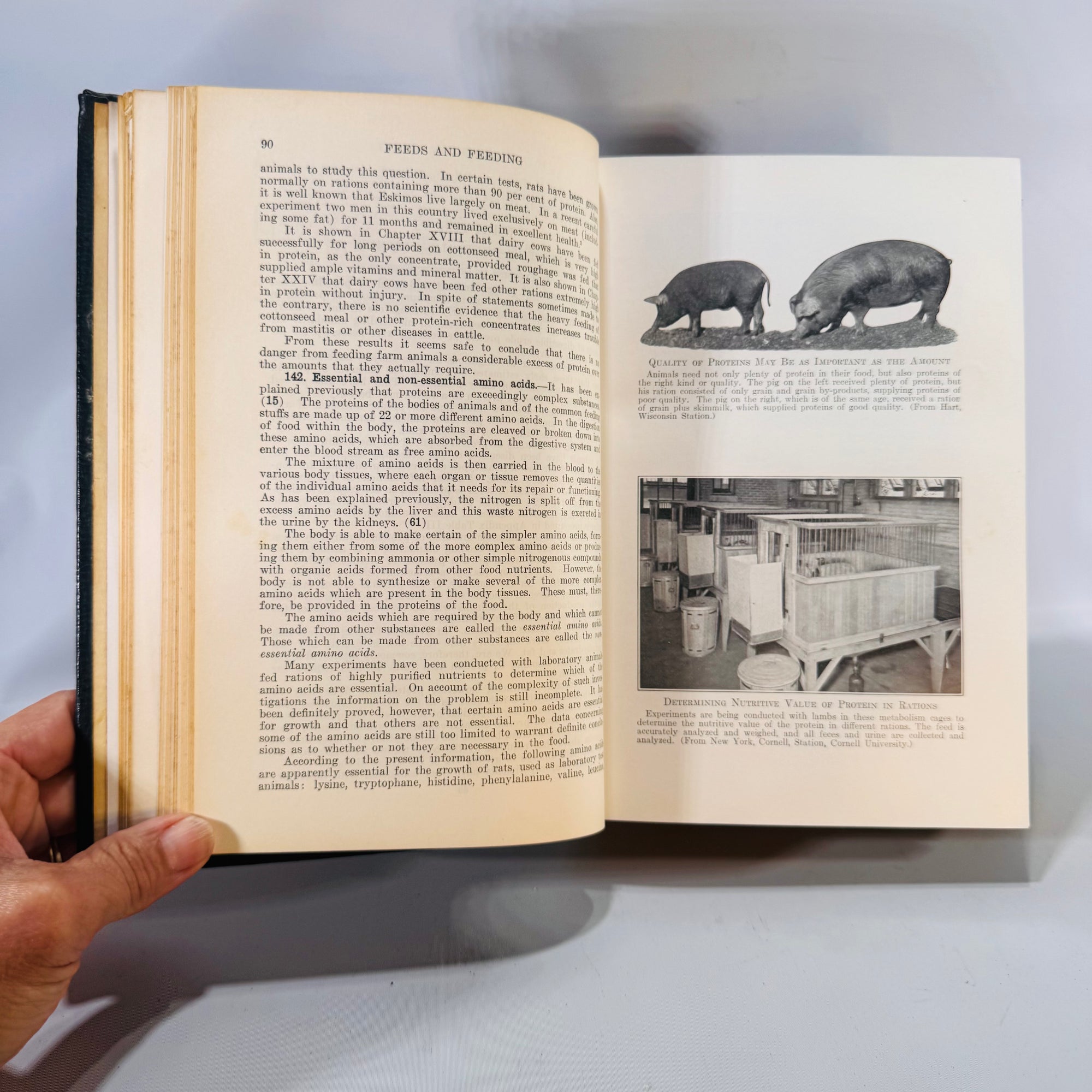 Feeds and Feeding 1941 — Morrison 20th Edition Livestock Nutrition Handbook, an authoritative reference charts, graphs, and B&W farm photos