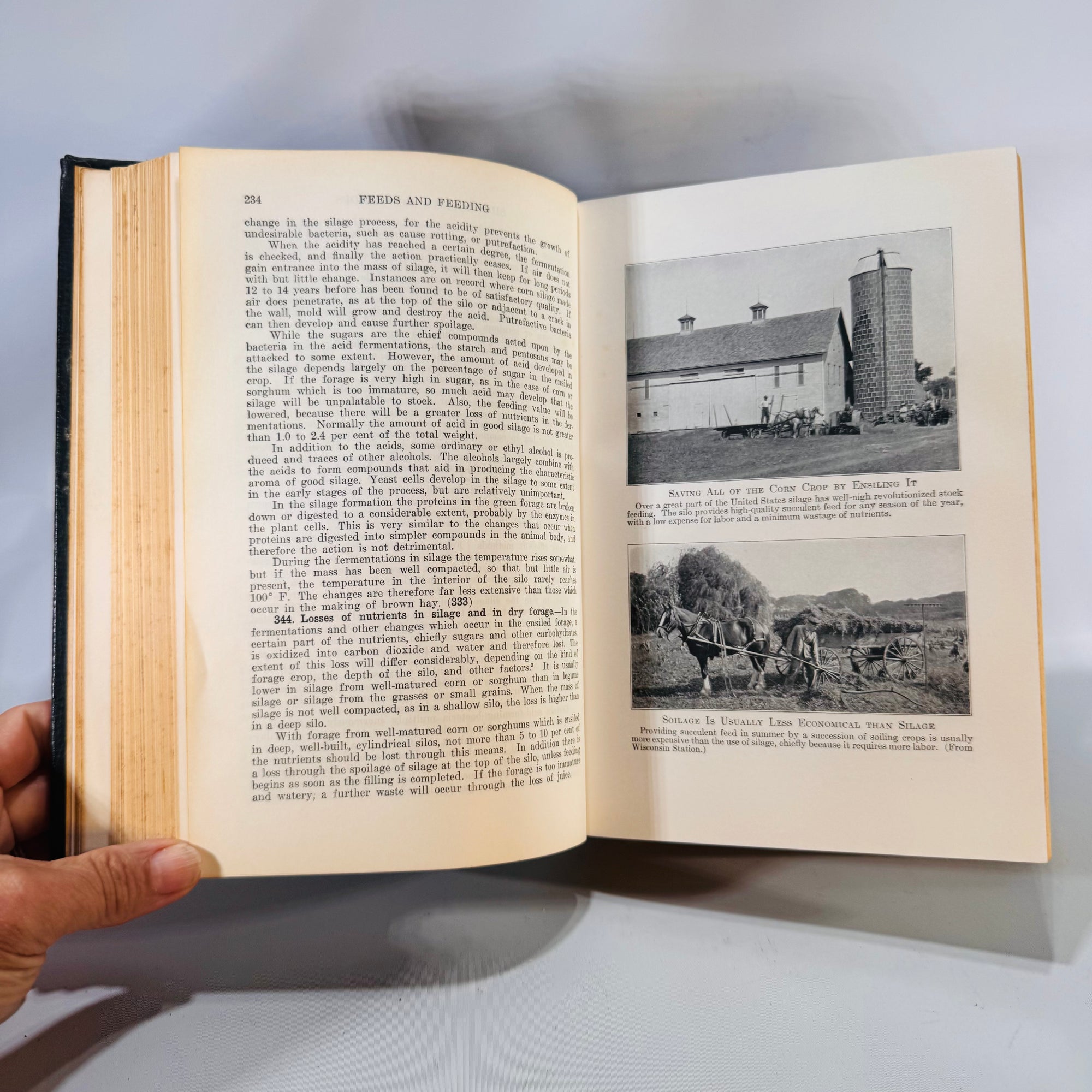 Feeds and Feeding 1941 — Morrison 20th Edition Livestock Nutrition Handbook, an authoritative reference charts, graphs, and B&W farm photos