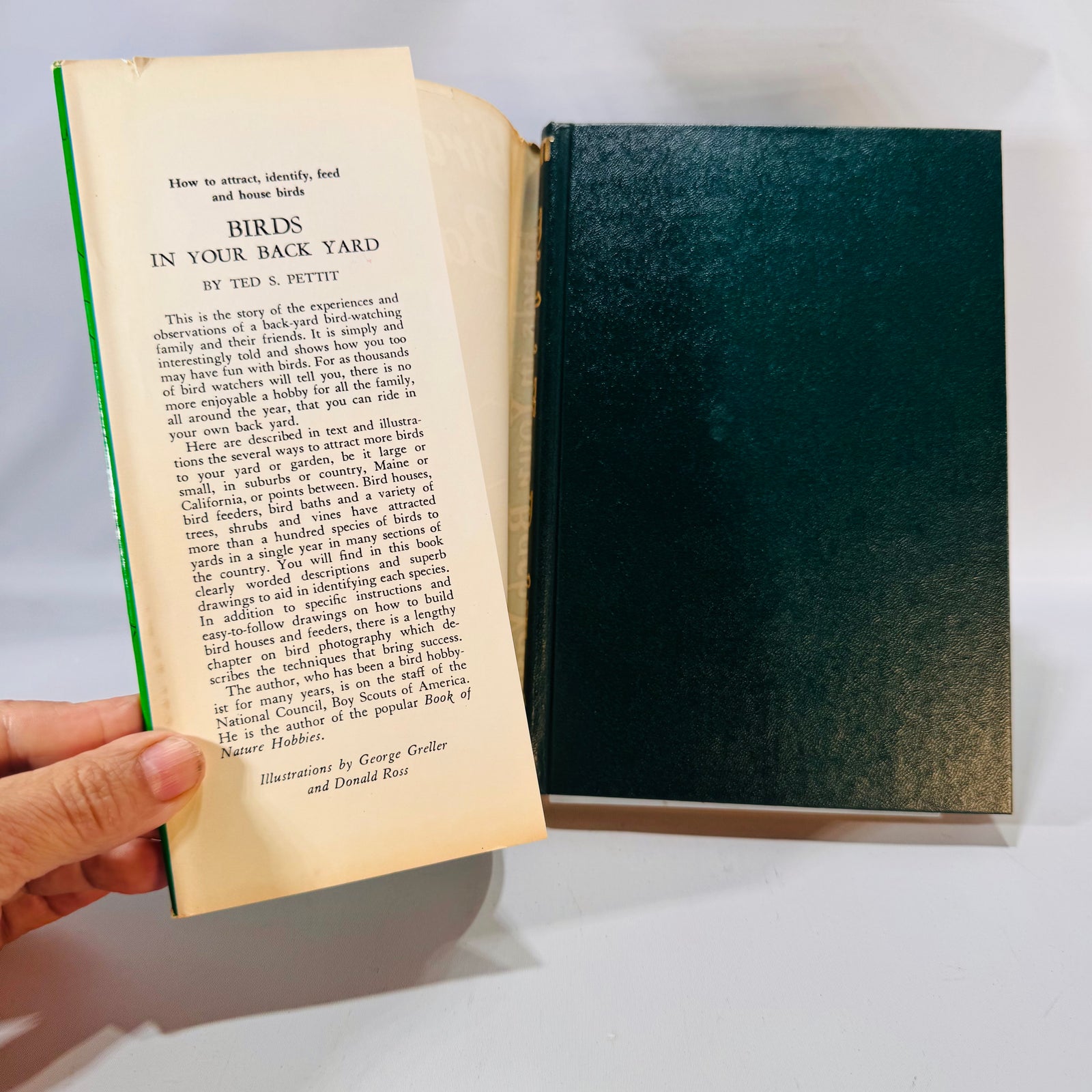 Backyard Birding Field Guide — Birds in Your Back Yard (mid-century reprint) — Ted S. Pettit | Illustrated HC w/ Dust Jacket, Nature