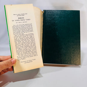 Backyard Birding Field Guide — Birds in Your Back Yard (mid-century reprint) — Ted S. Pettit | Illustrated HC w/ Dust Jacket, Nature