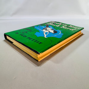 Backyard Birding Field Guide — Birds in Your Back Yard (mid-century reprint) — Ted S. Pettit | Illustrated HC w/ Dust Jacket, Nature