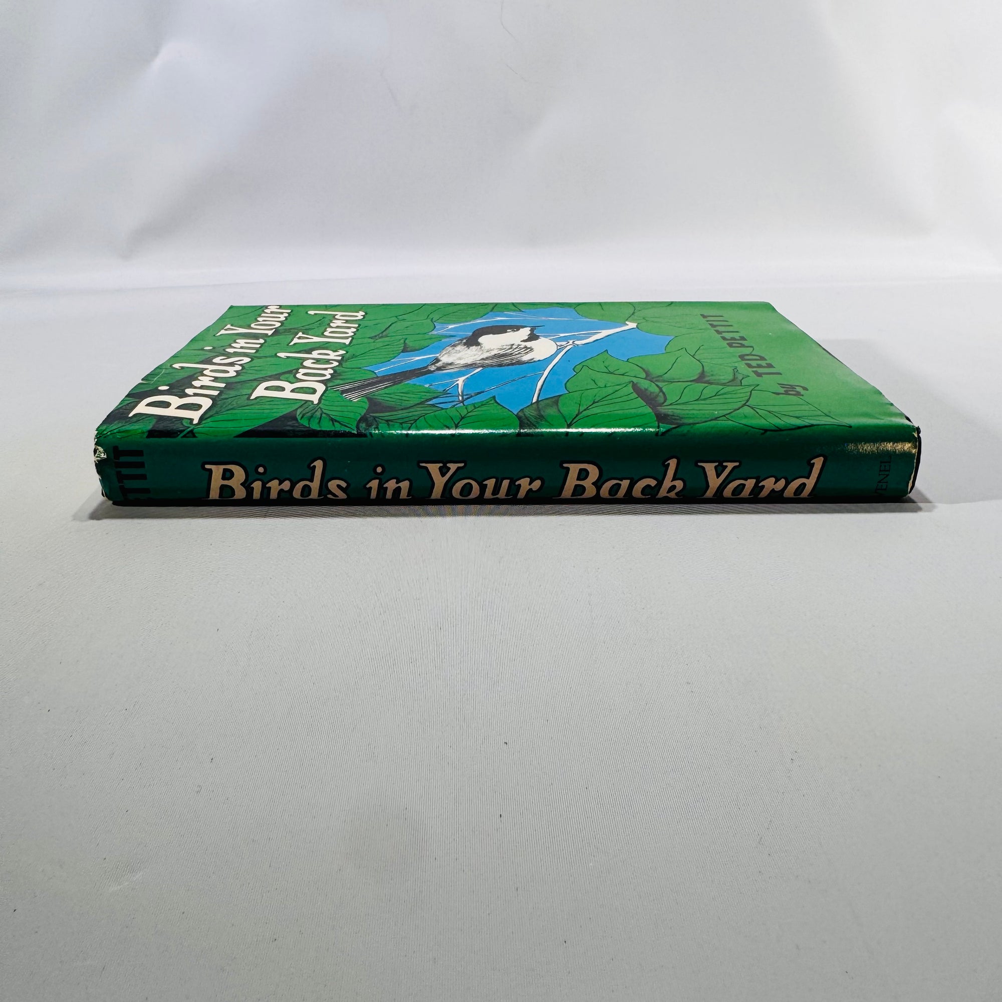 Backyard Birding Field Guide — Birds in Your Back Yard (mid-century reprint) — Ted S. Pettit | Illustrated HC w/ Dust Jacket, Nature