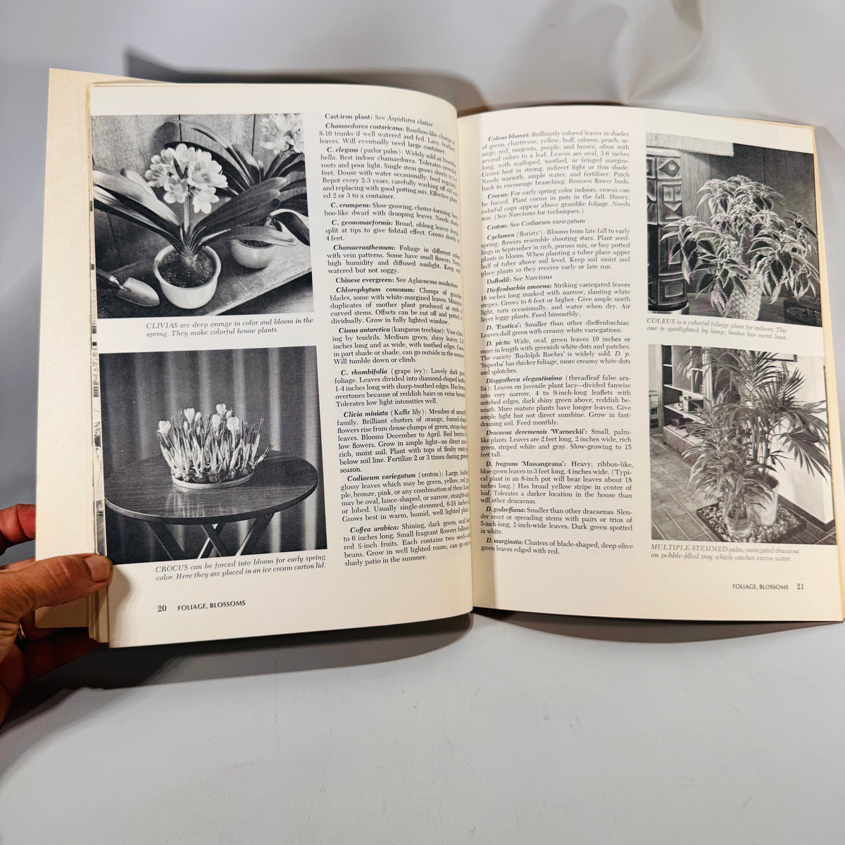 How to Grow House Plants (1974, 18th Printing) — Sunset Editorial Staff | Lane Books Softcover