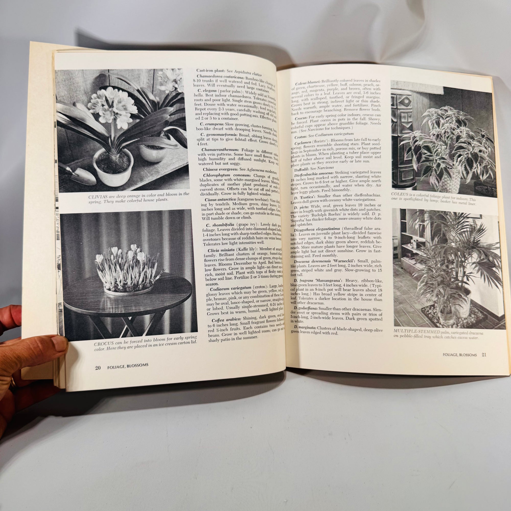 How to Grow House Plants (1974, 18th Printing) — Sunset Editorial Staff | Lane Books Softcover