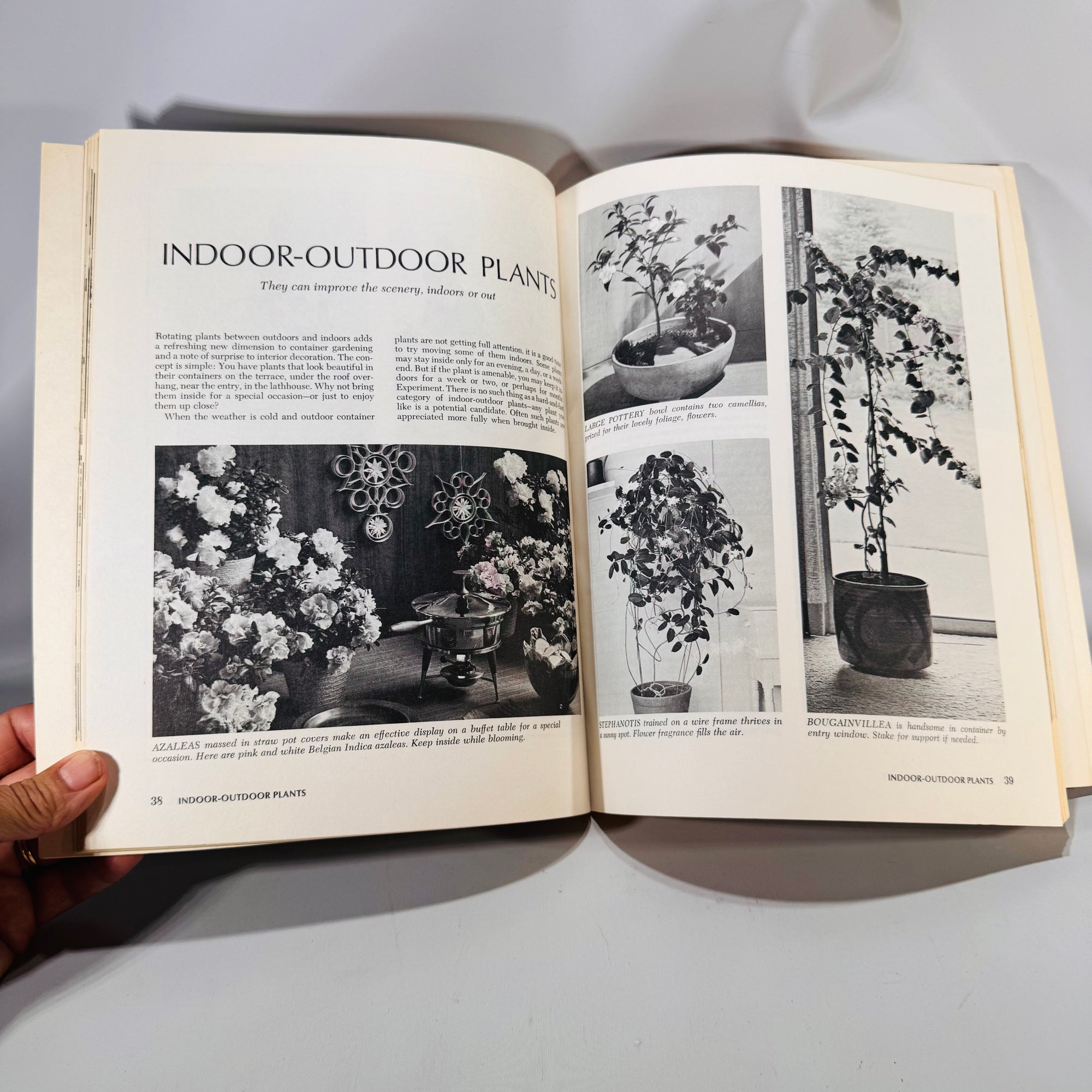 How to Grow House Plants (1974, 18th Printing) — Sunset Editorial Staff | Lane Books Softcover