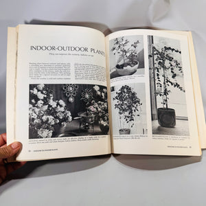 How to Grow House Plants (1974, 18th Printing) — Sunset Editorial Staff | Lane Books Softcover