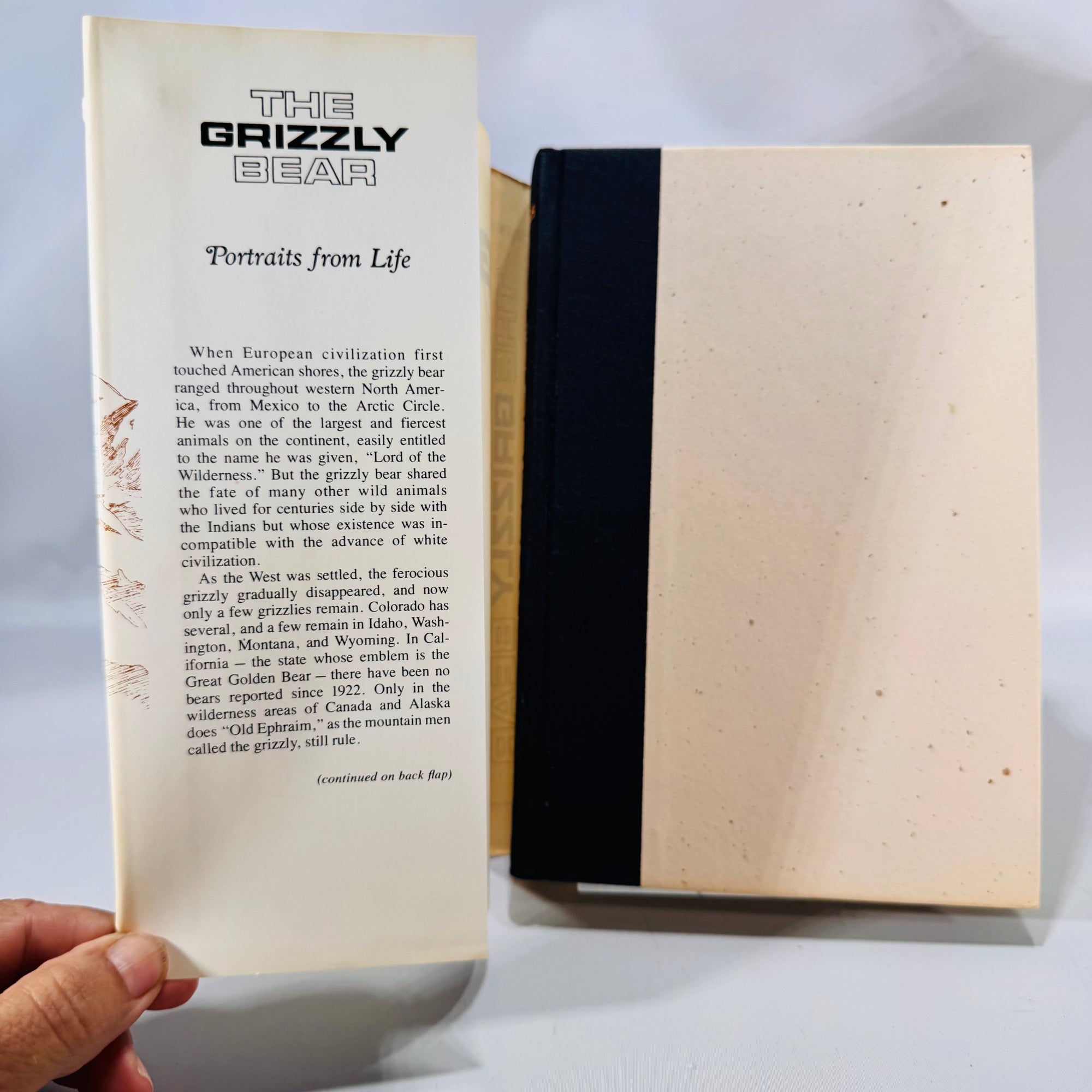 The Grizzly Bear (1966/1979) — Portraits from Life | Haynes, Univ. of Oklahoma Press, Illustrated, DJ