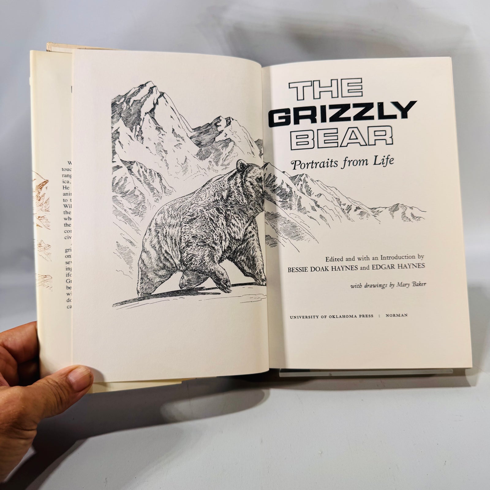 The Grizzly Bear (1966/1979) — Portraits from Life | Haynes, Univ. of Oklahoma Press, Illustrated, DJ