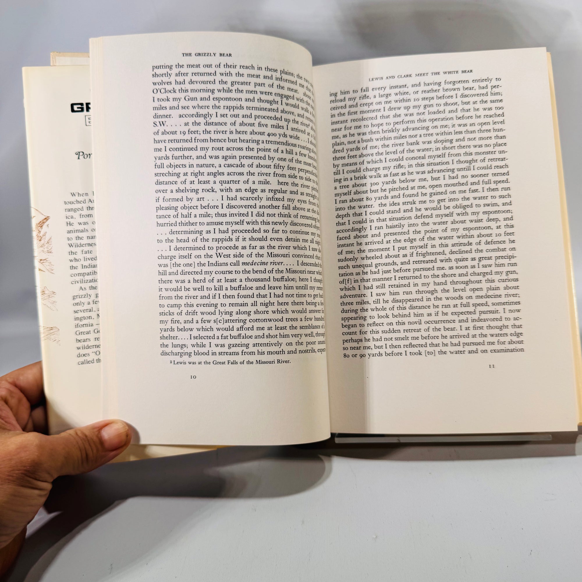 The Grizzly Bear (1966/1979) — Portraits from Life | Haynes, Univ. of Oklahoma Press, Illustrated, DJ