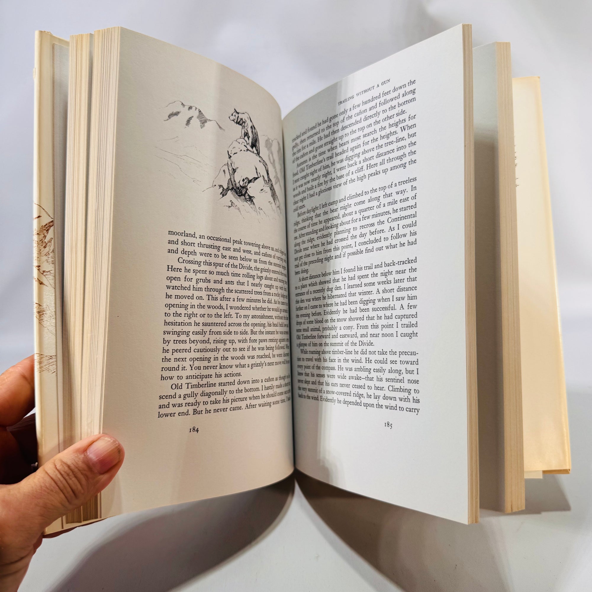 The Grizzly Bear (1966/1979) — Portraits from Life | Haynes, Univ. of Oklahoma Press, Illustrated, DJ