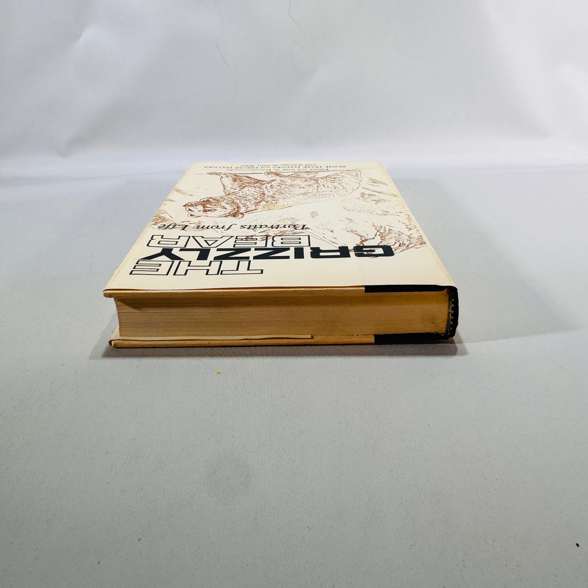 The Grizzly Bear (1966/1979) — Portraits from Life | Haynes, Univ. of Oklahoma Press, Illustrated, DJ