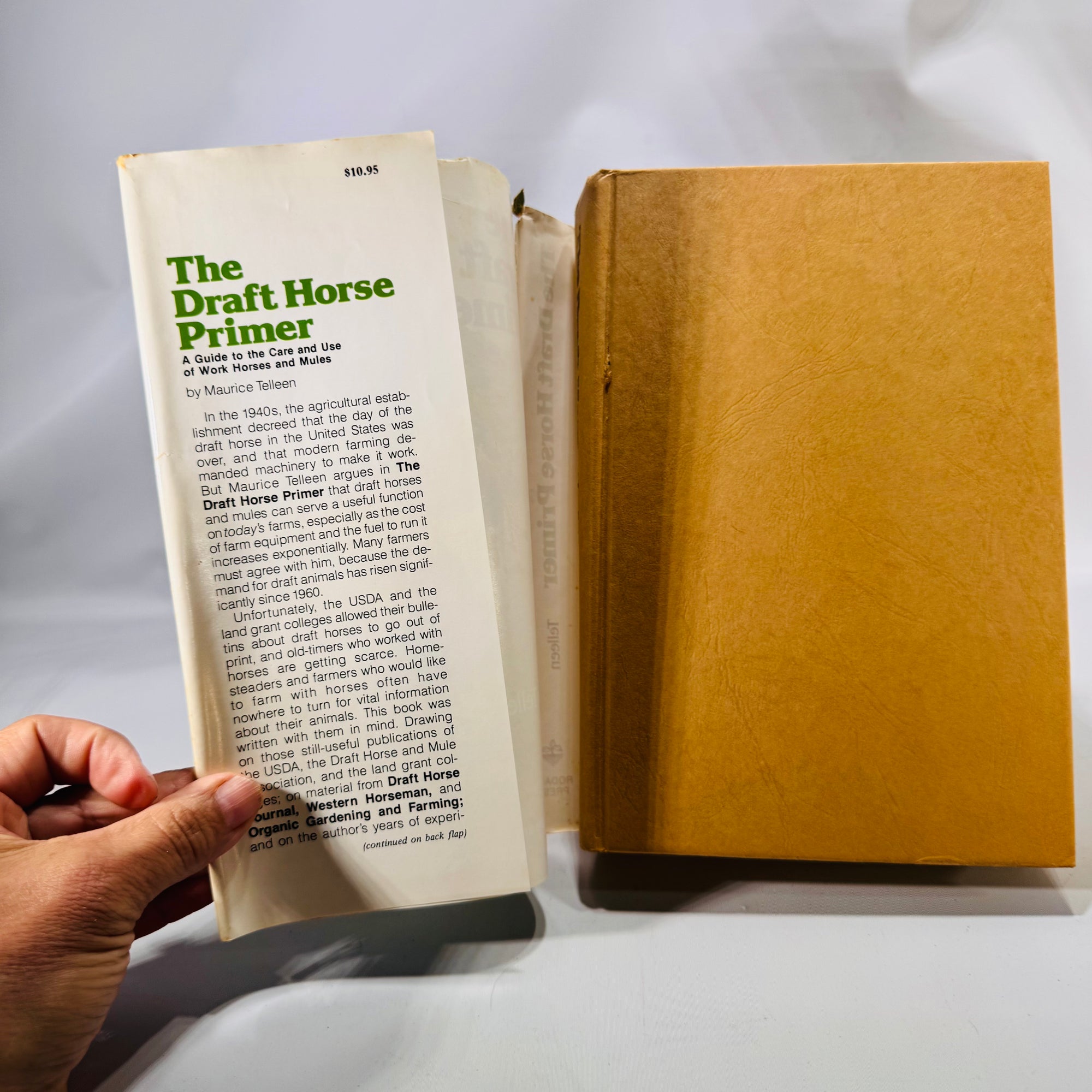The Draft Horse Primer (1977) — Maurice Telleen | Illustrated, DJ