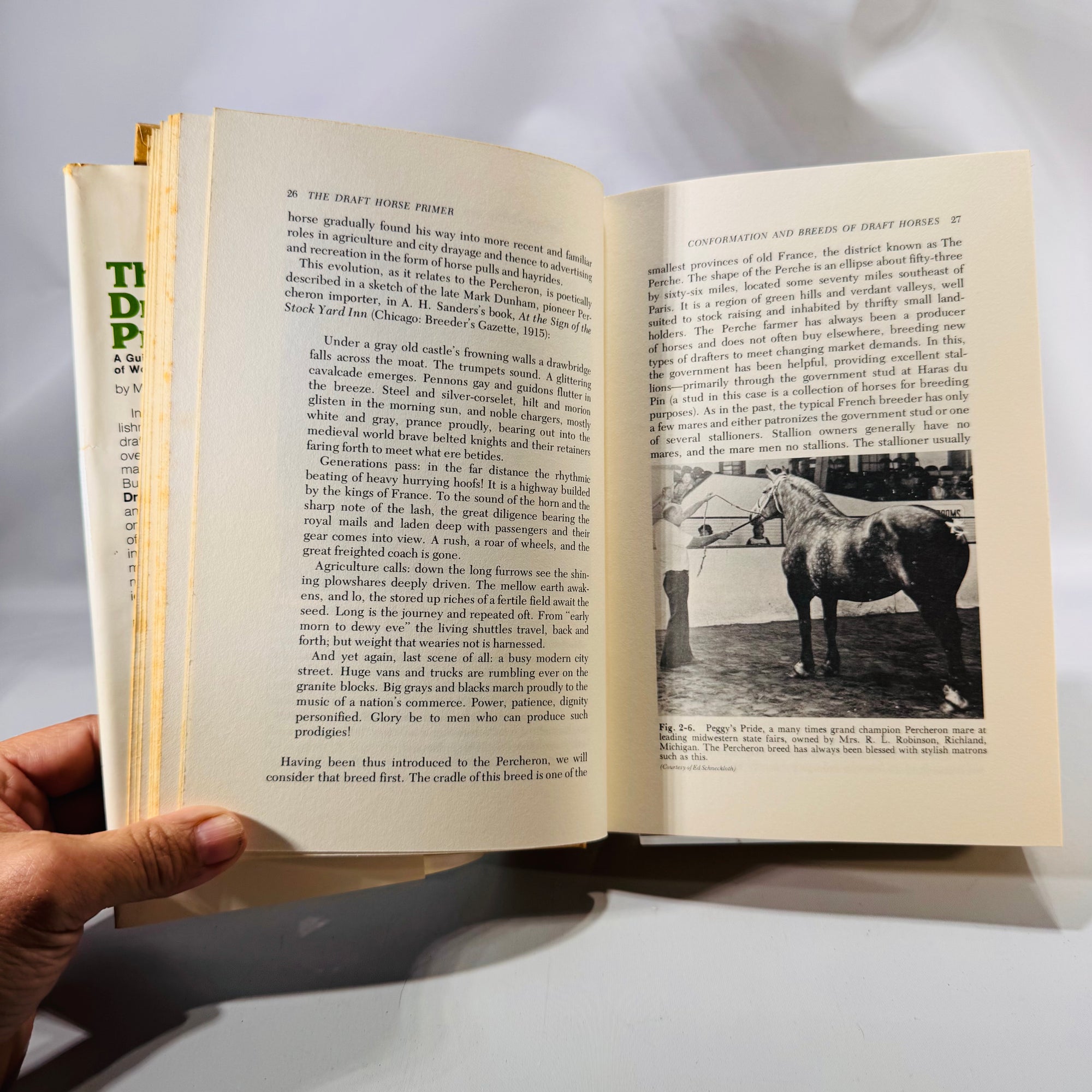 The Draft Horse Primer (1977) — Maurice Telleen | Illustrated, DJ