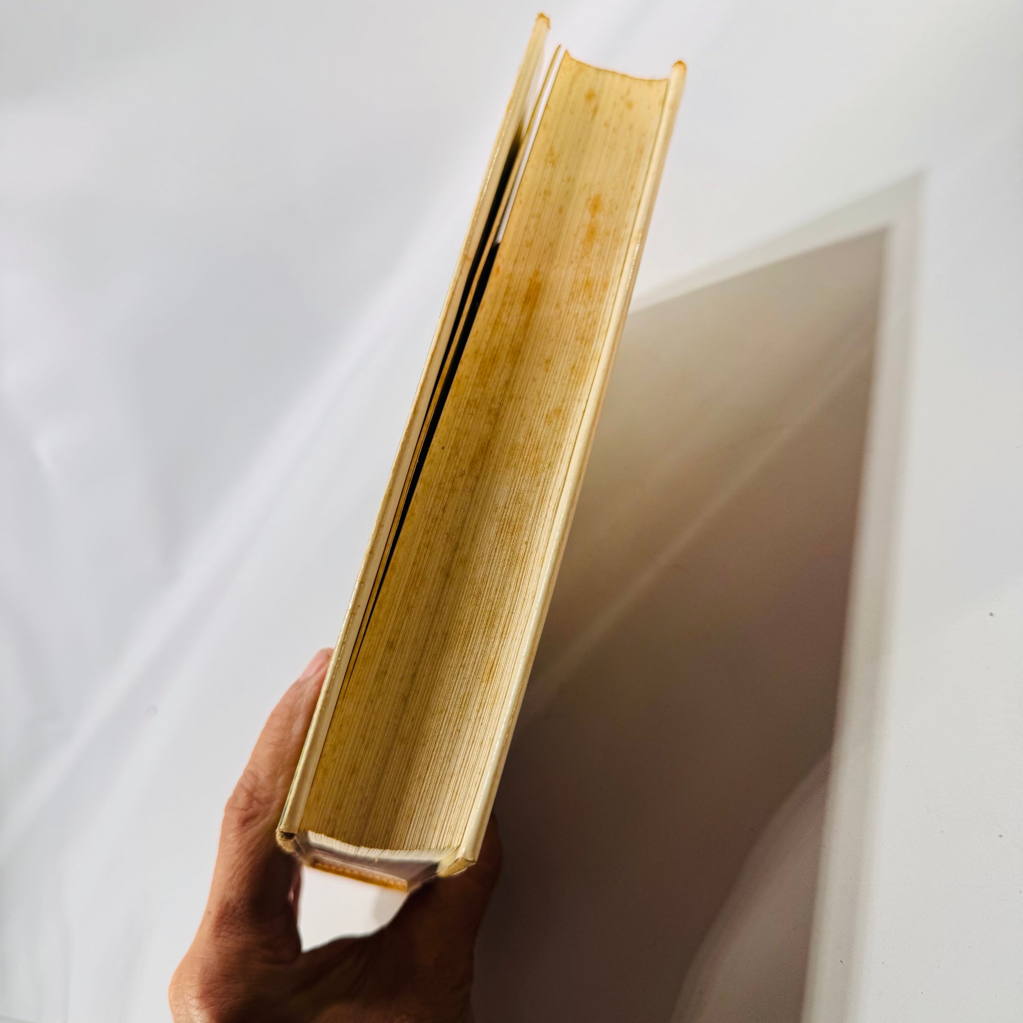 The Draft Horse Primer (1977) — Maurice Telleen | Illustrated, DJ