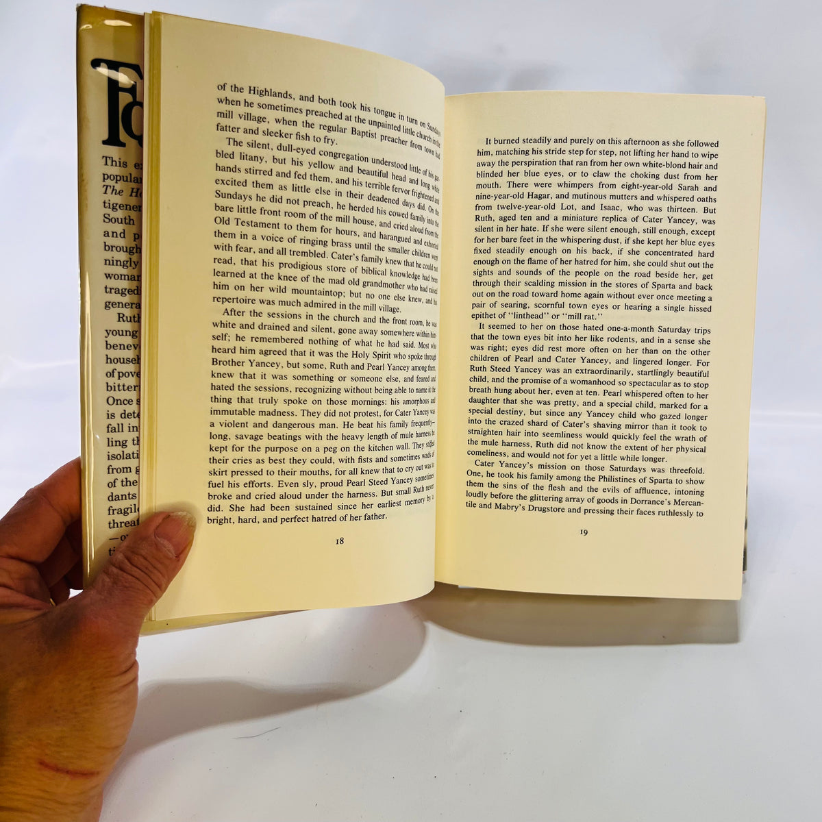 Fox's Earth a novel by Anne Rivers Siddons 1981 First Edition Simon & Schuster