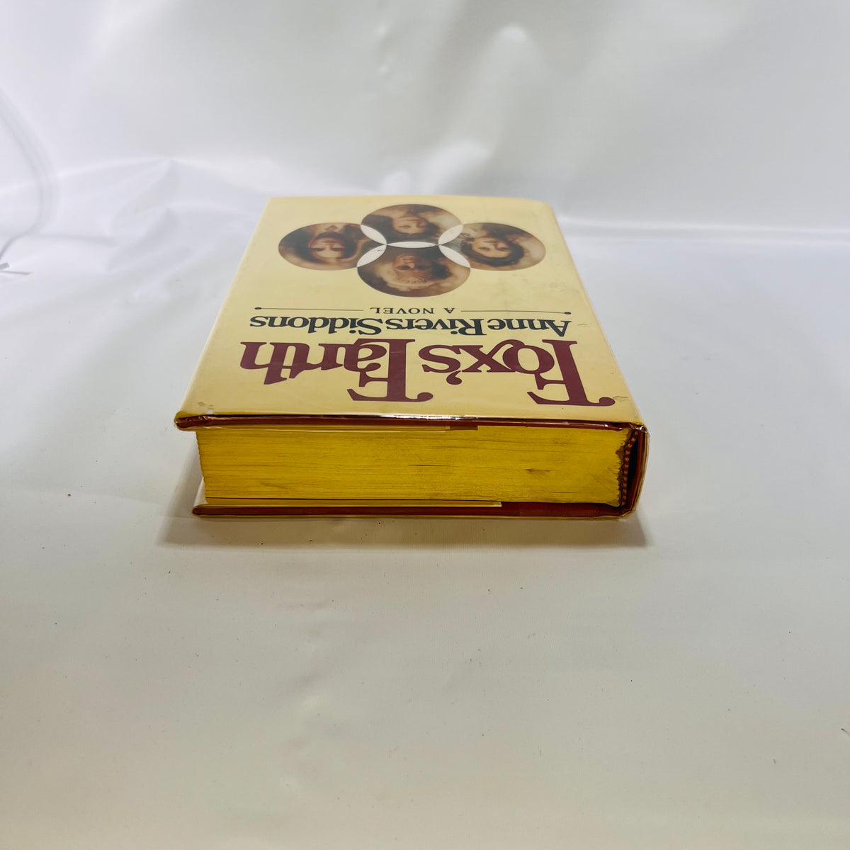 Fox's Earth a novel by Anne Rivers Siddons 1981 First Edition Simon & Schuster