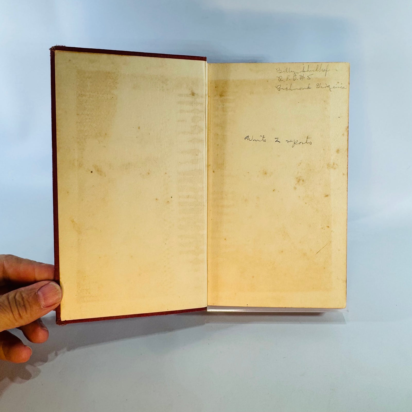 Vintage Natural History Field Guide — Field Book of Insects (1935 Sixth Impression) — Frank E. Lutz | Color Plates, Red Cloth, Natural History / Entomology