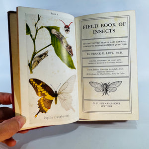 Vintage Natural History Field Guide — Field Book of Insects (1935 Sixth Impression) — Frank E. Lutz | Color Plates, Red Cloth, Natural History / Entomology