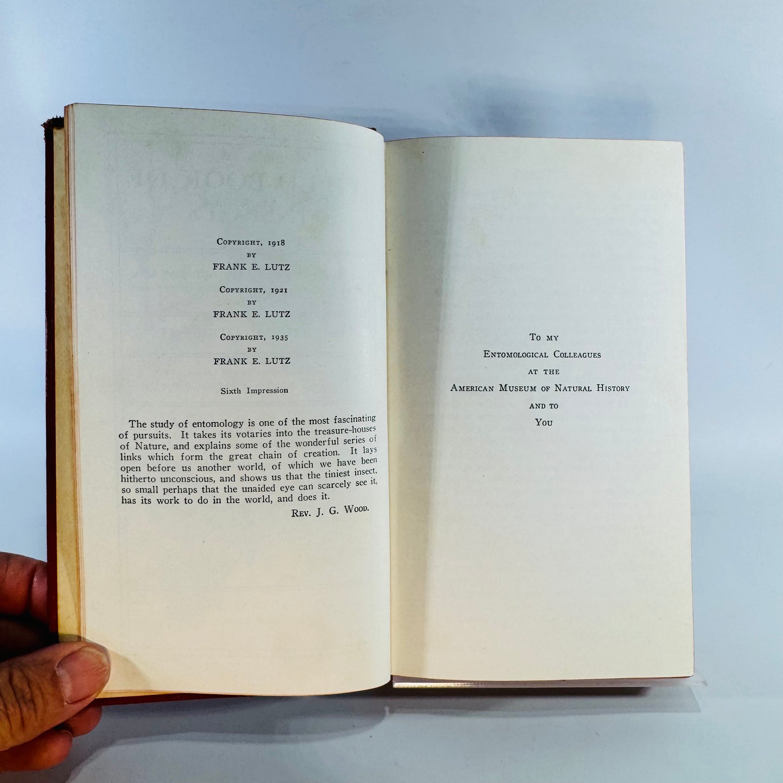 Vintage Natural History Field Guide — Field Book of Insects (1935 Sixth Impression) — Frank E. Lutz | Color Plates, Red Cloth, Natural History / Entomology