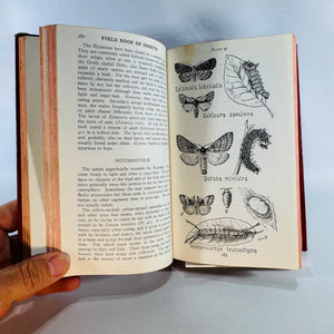 Vintage Natural History Field Guide — Field Book of Insects (1935 Sixth Impression) — Frank E. Lutz | Color Plates, Red Cloth, Natural History / Entomology