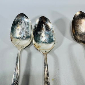 Oneida Enchantment Gentle Rose Silverplate Serving Spoons Set of 5