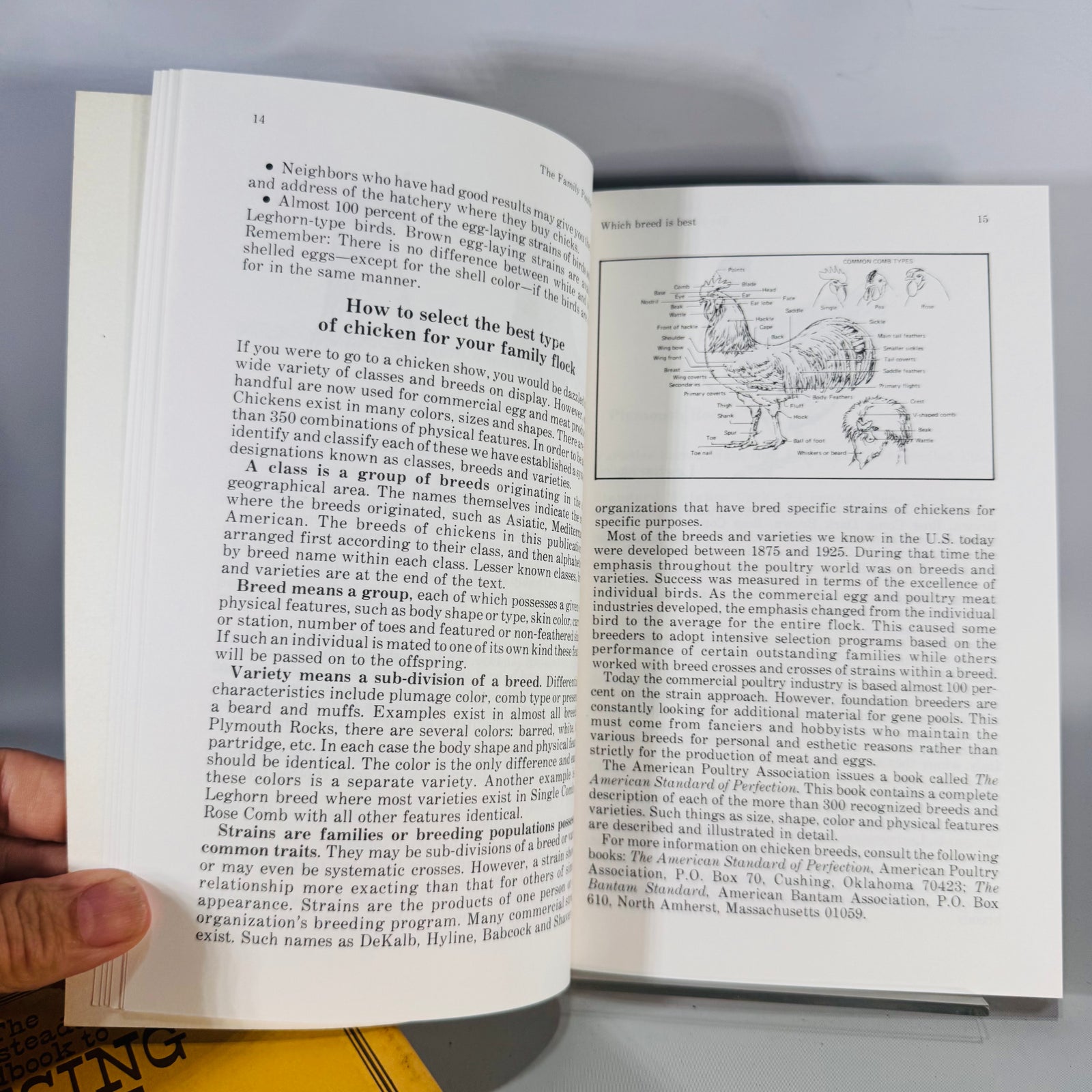 Homesteading & Poultry Care Guides — Raising Small Livestock (1970s) — Jerome D. Belanger | 2-Book Set with The Family Poultry Flock, Farming/Backyard Livestock
