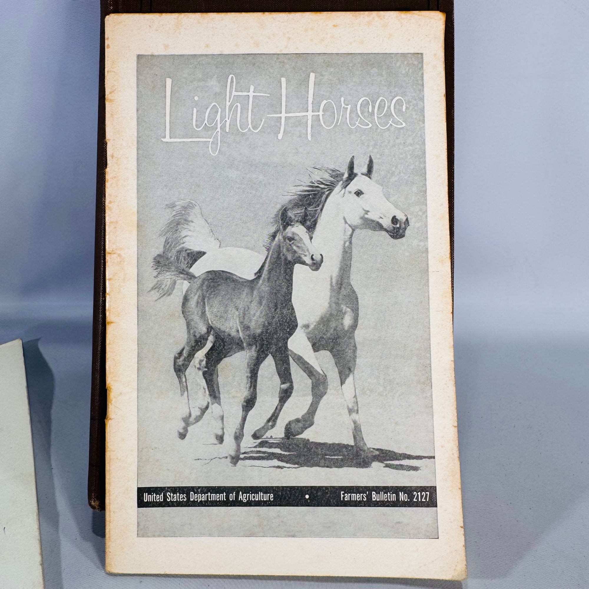 Diseases of the Horse (1923 Rev. Ed.) + Light Horses + 4-H Horse Science — USDA/US Gov. Printing Office & Ensminger | Illustrated Set, Veterinary Reference