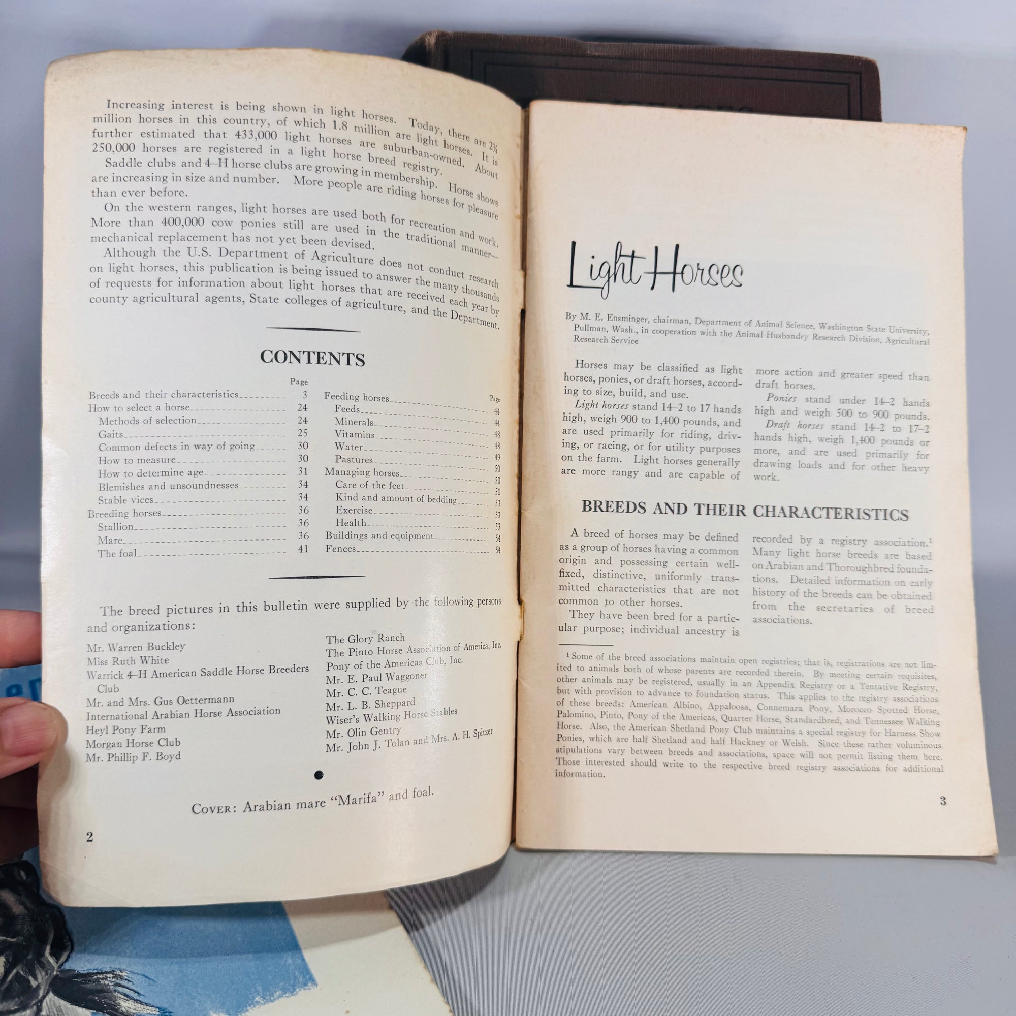 Diseases of the Horse (1923 Rev. Ed.) + Light Horses + 4-H Horse Science — USDA/US Gov. Printing Office & Ensminger | Illustrated Set, Veterinary Reference