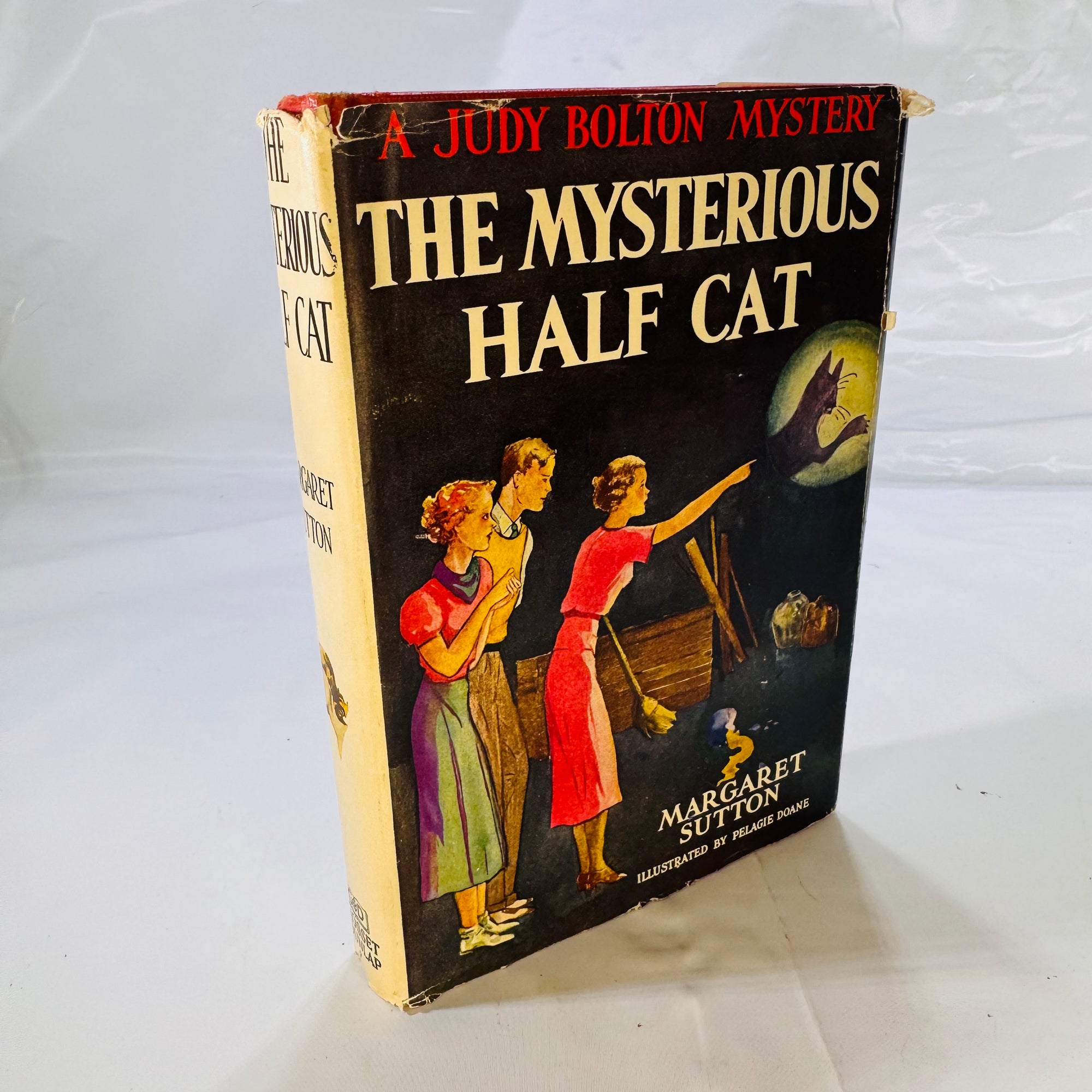 The Mysterious Half Cat by Margaret Sutton illustrated by Pelagie Doane 1936 Grosset & Dunlap