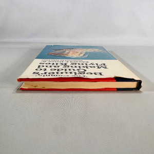 The Complete Beginner’s Guide to Making and Flying Kites (1977 First Edition) — Edward F. Dolan Jr. | Doubleday, illustrated, Hobbies & Crafts — Kite Making