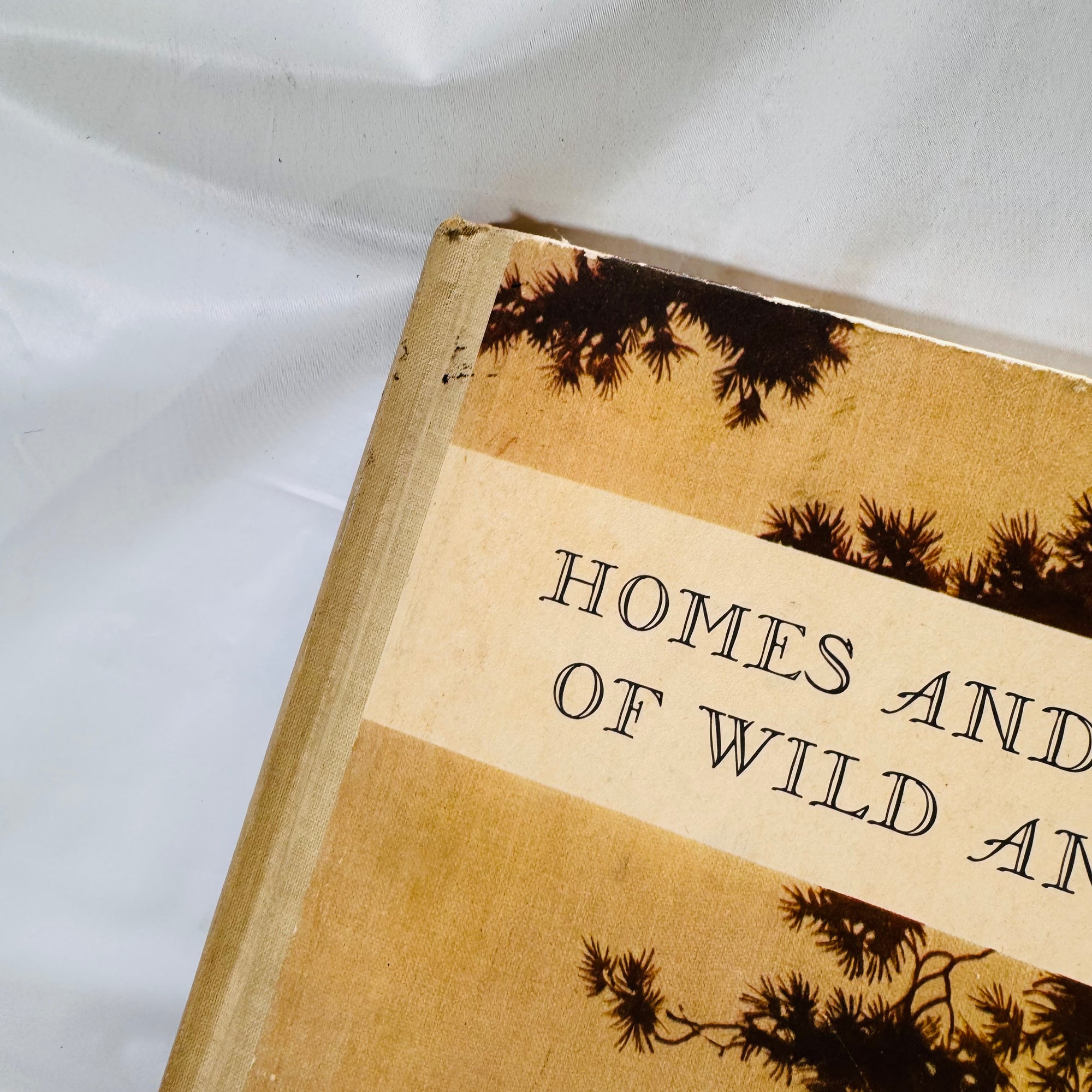 Homes and Habits of Wild Animals by Karl Patterson Schmidt (1934), M.A. Donohue & Company, Hardcover