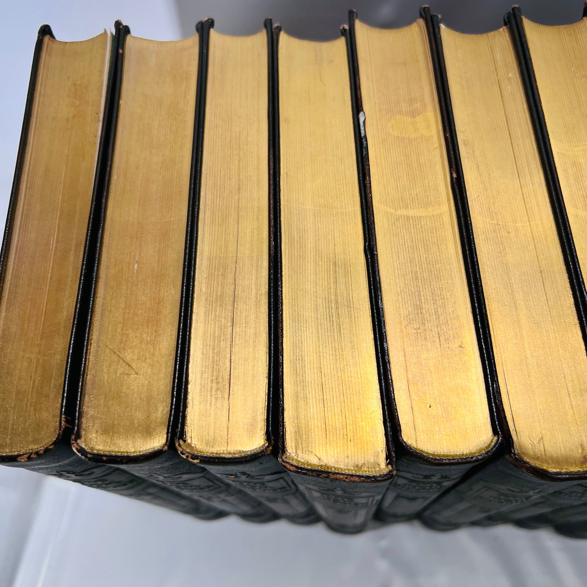 The Real America in Romance Complete in 13 Volumes 1909 & The American Crusade 2 Volumes 1927 Art Edition William Wise & Company