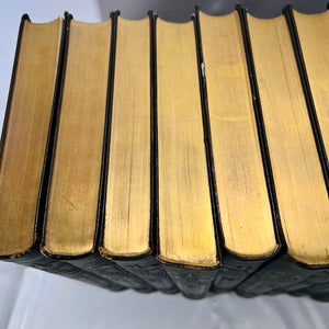 The Real America in Romance Complete in 13 Volumes 1909 & The American Crusade 2 Volumes 1927 Art Edition William Wise & Company