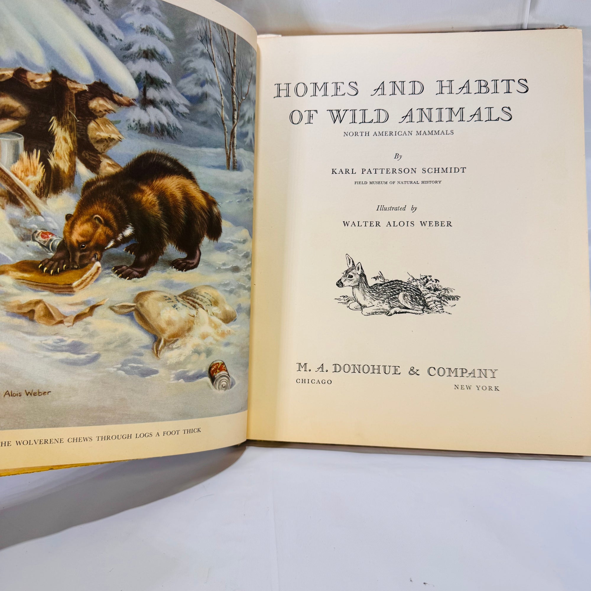 Homes and Habits of Wild Animals by Karl Patterson Schmidt (1934), M.A. Donohue & Company, Hardcover