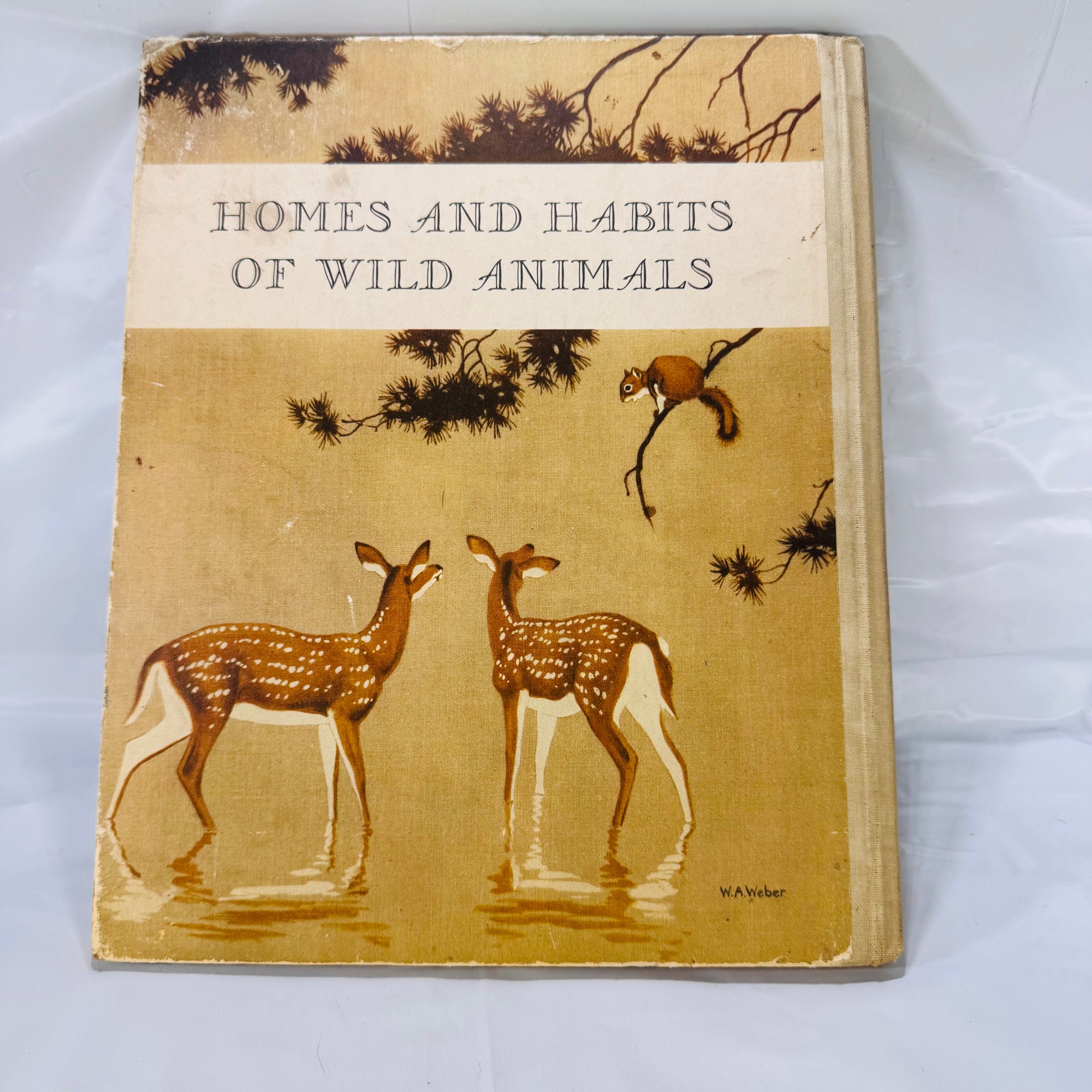 Homes and Habits of Wild Animals by Karl Patterson Schmidt (1934), M.A. Donohue & Company, Hardcover