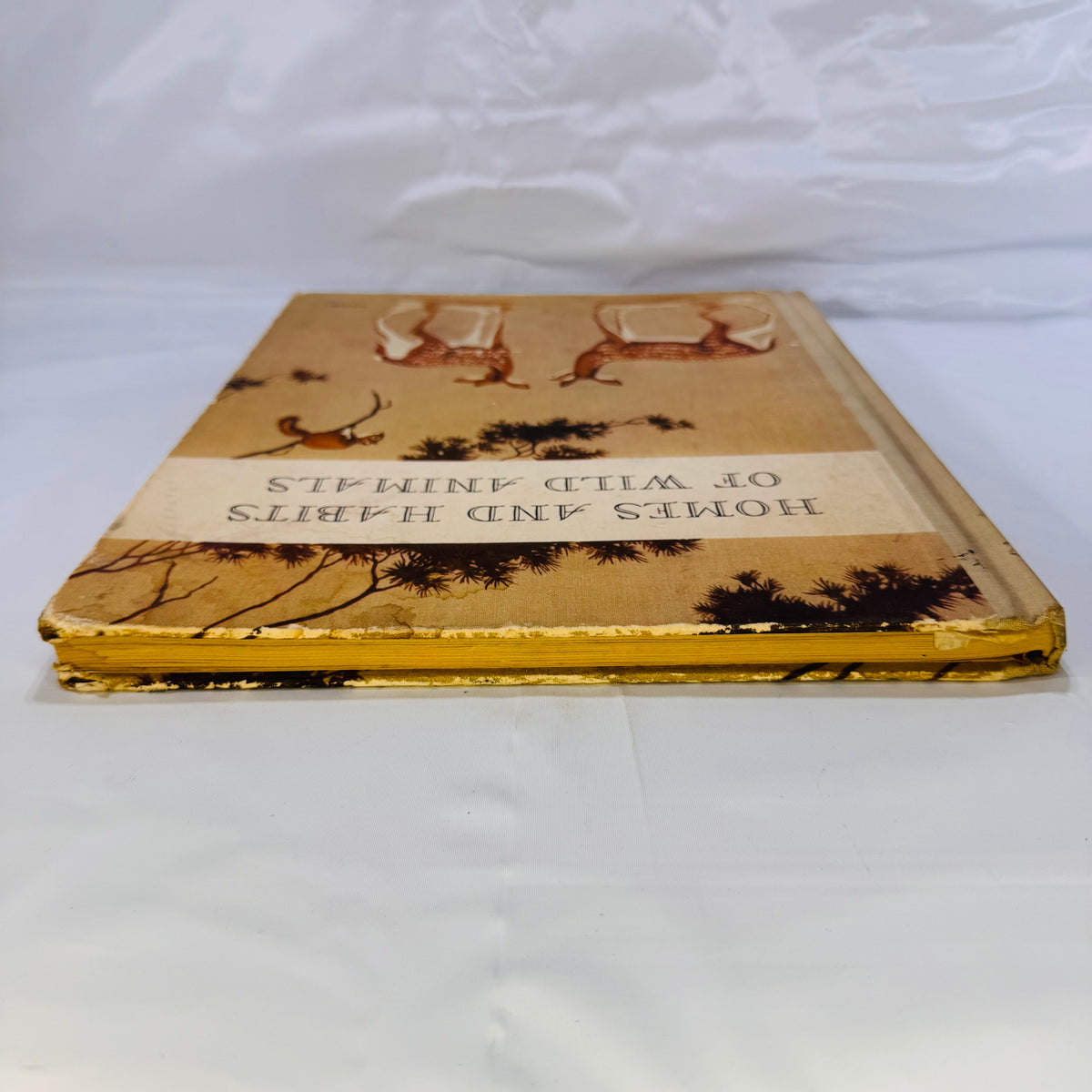 Homes and Habits of Wild Animals by Karl Patterson Schmidt (1934), M.A. Donohue & Company, Hardcover