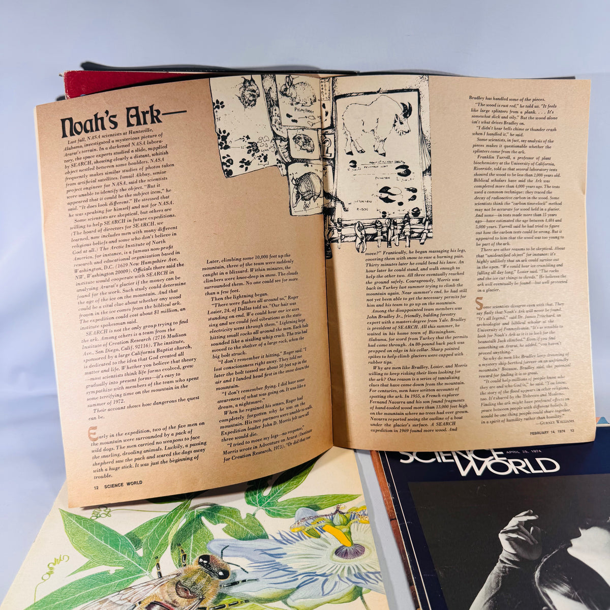 Science World (4 Issues, 1974) — Classroom Periodical | Cave Bears, Allergies, Noah’s Ark, Science Magazine Set