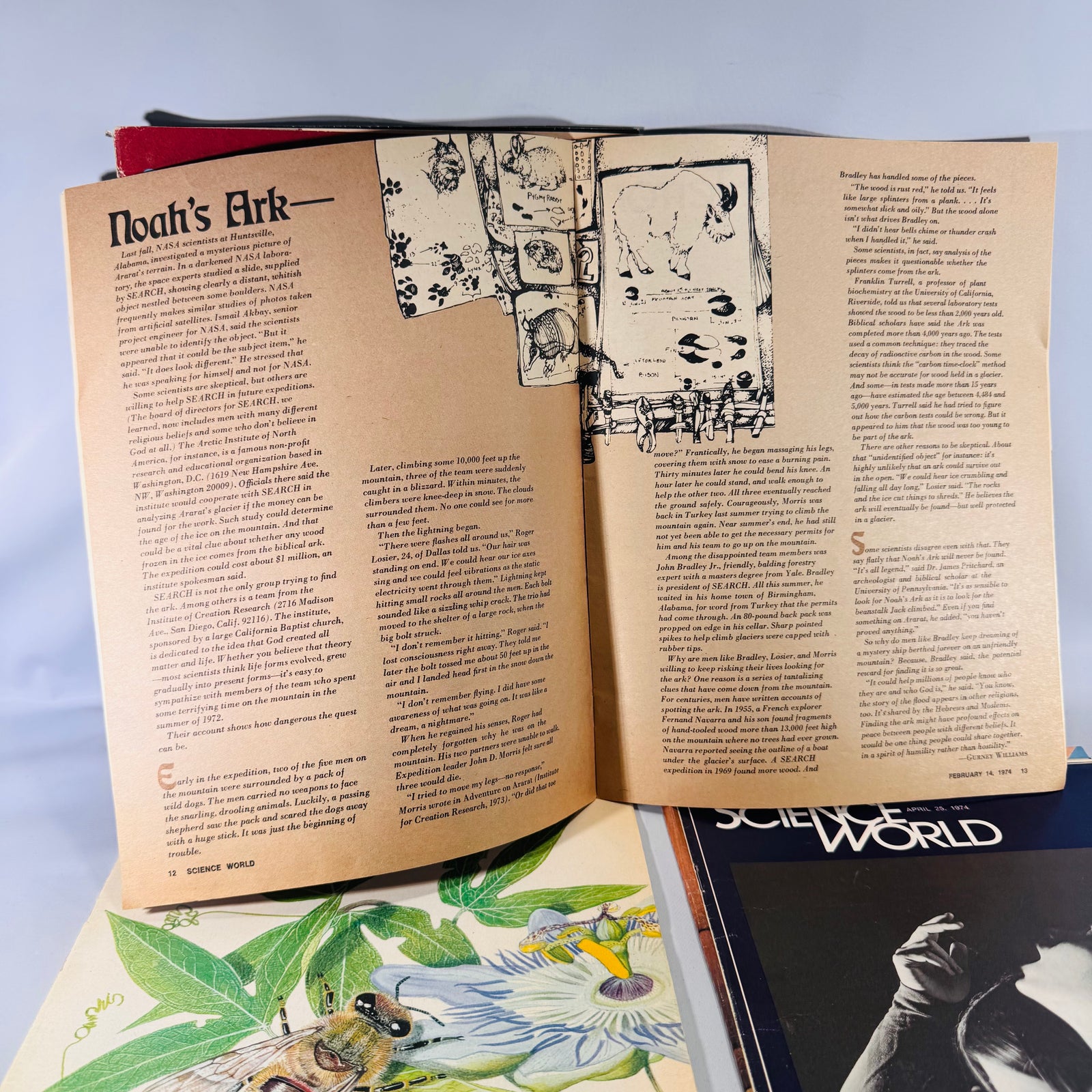 Science World (4 Issues, 1974) — Classroom Periodical | Cave Bears, Allergies, Noah’s Ark, Science Magazine Set
