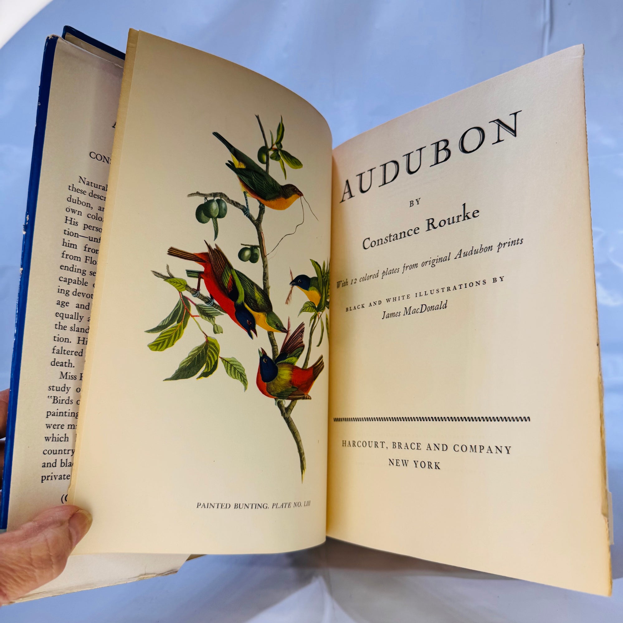 Audubon by Constance Rourke (1936), Harcourt Brace and Company, Hardcover