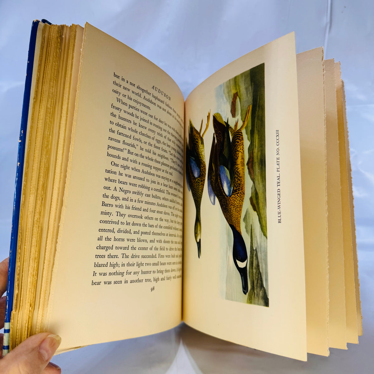 Audubon by Constance Rourke (1936), Harcourt Brace and Company, Hardcover