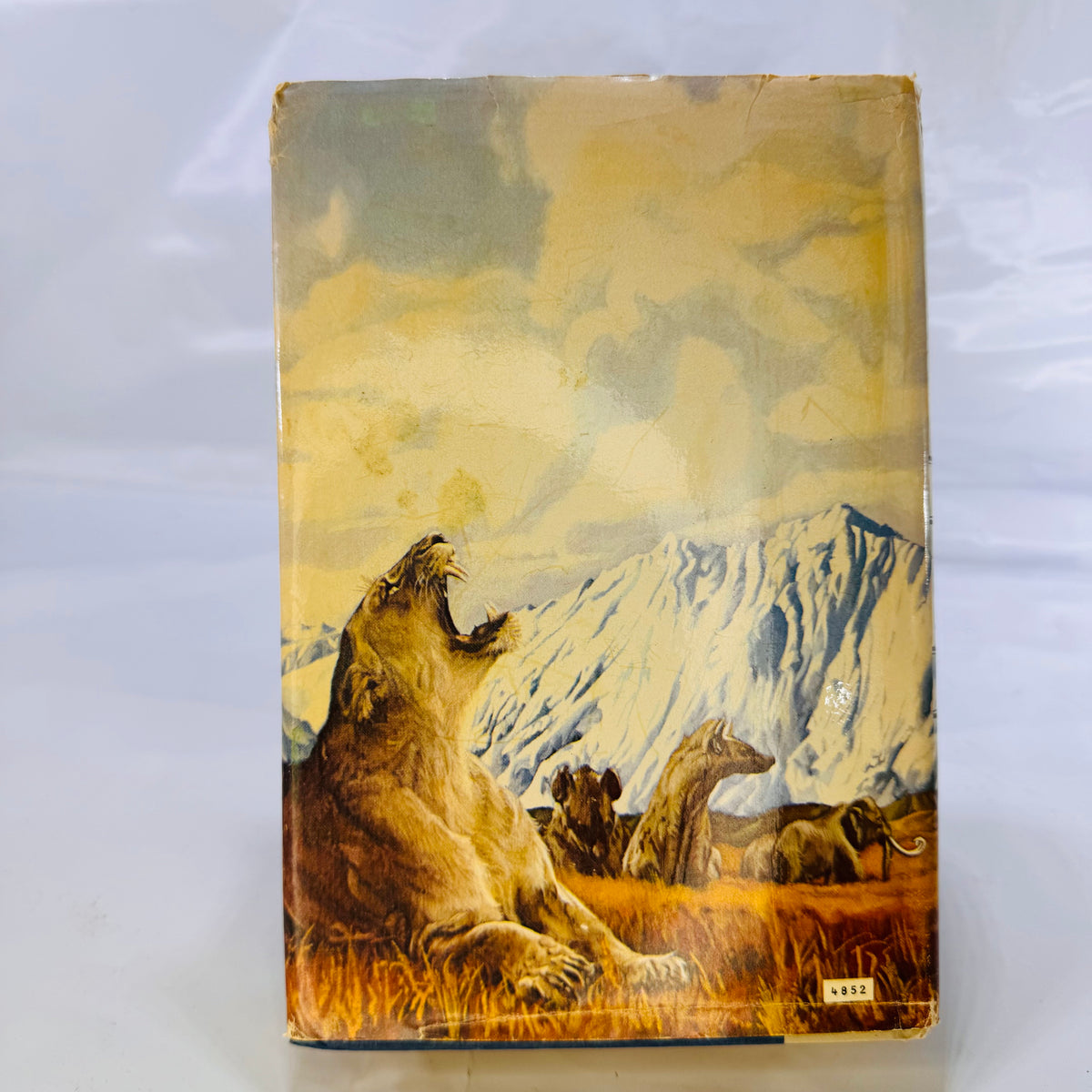 The Valley of Horses by Jean M. Auel (1982), Crown Publishing, Hardcover
