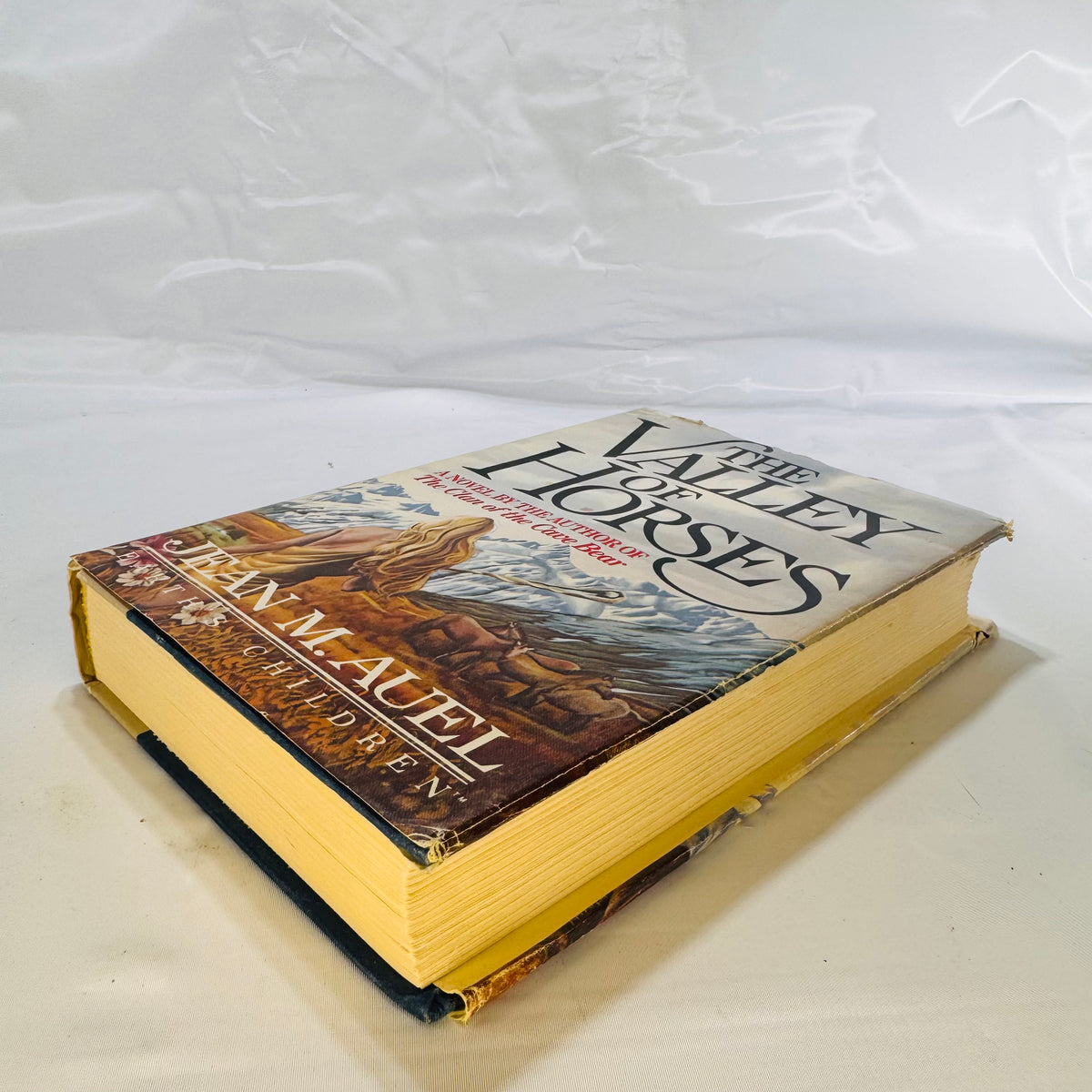 The Valley of Horses by Jean M. Auel (1982), Crown Publishing, Hardcover