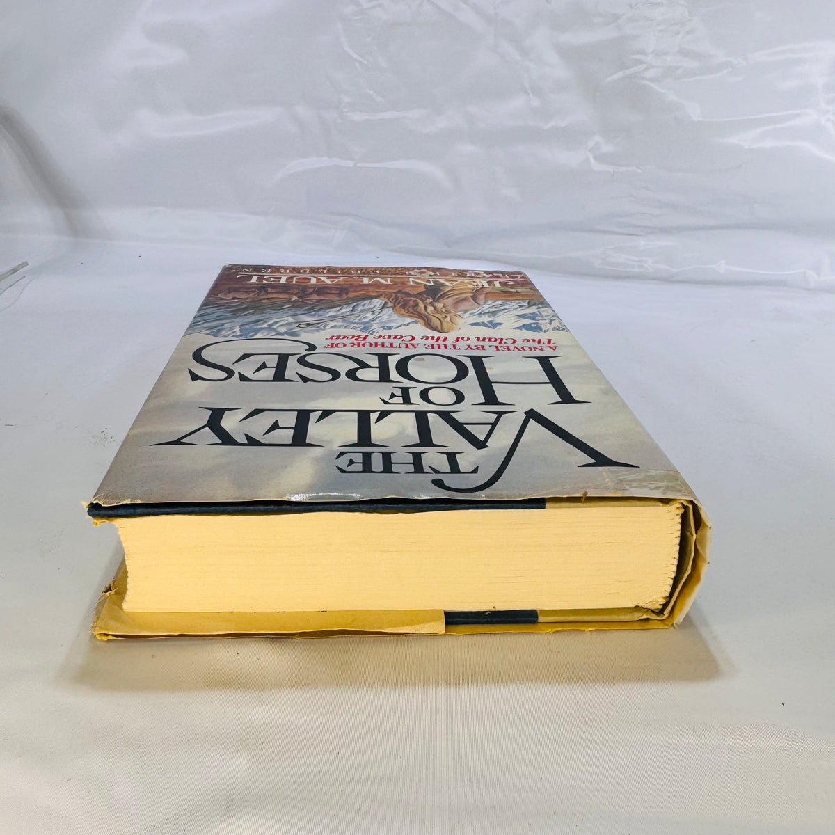 The Valley of Horses by Jean M. Auel (1982), Crown Publishing, Hardcover