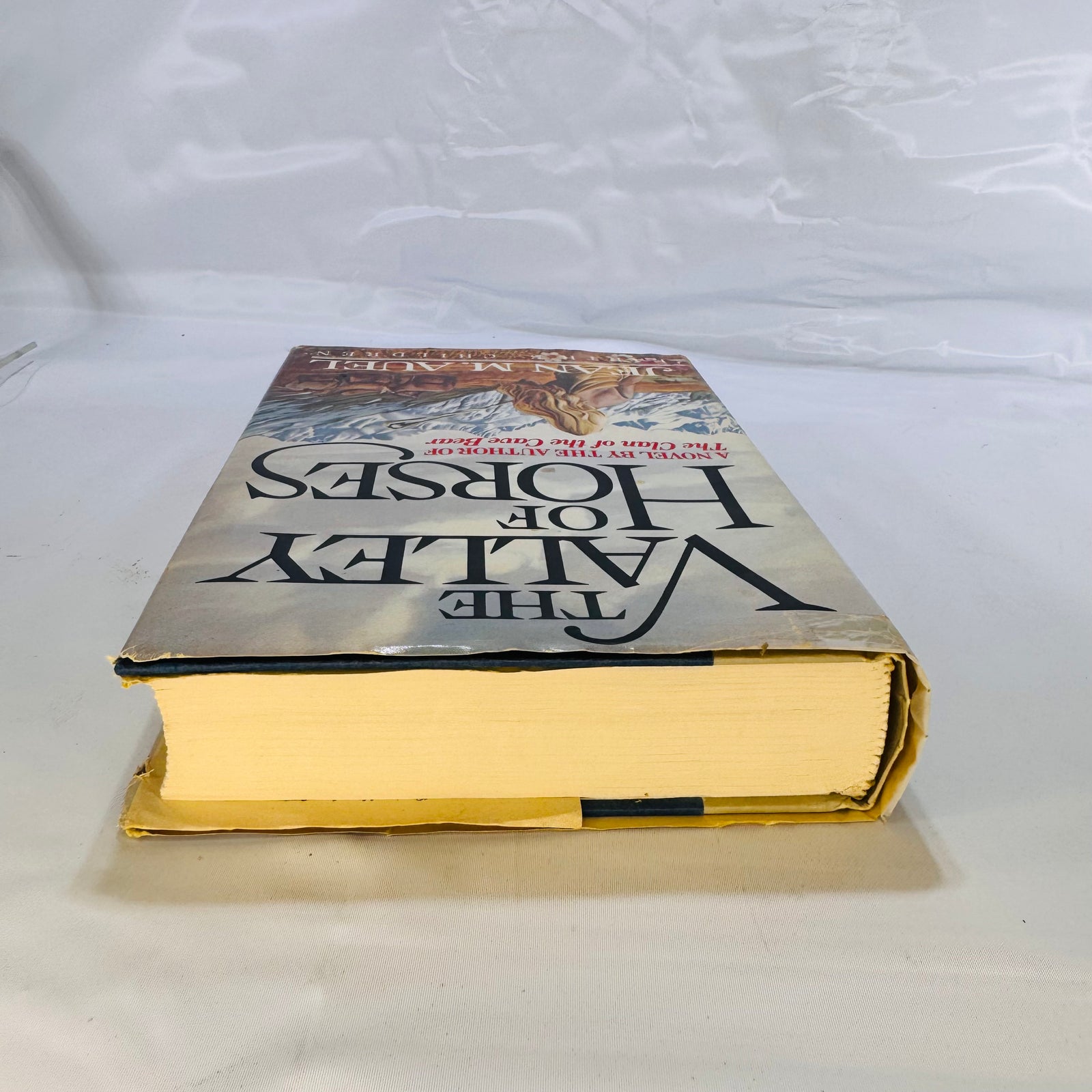 The Valley of Horses by Jean M. Auel (1982), Crown Publishing, Hardcover