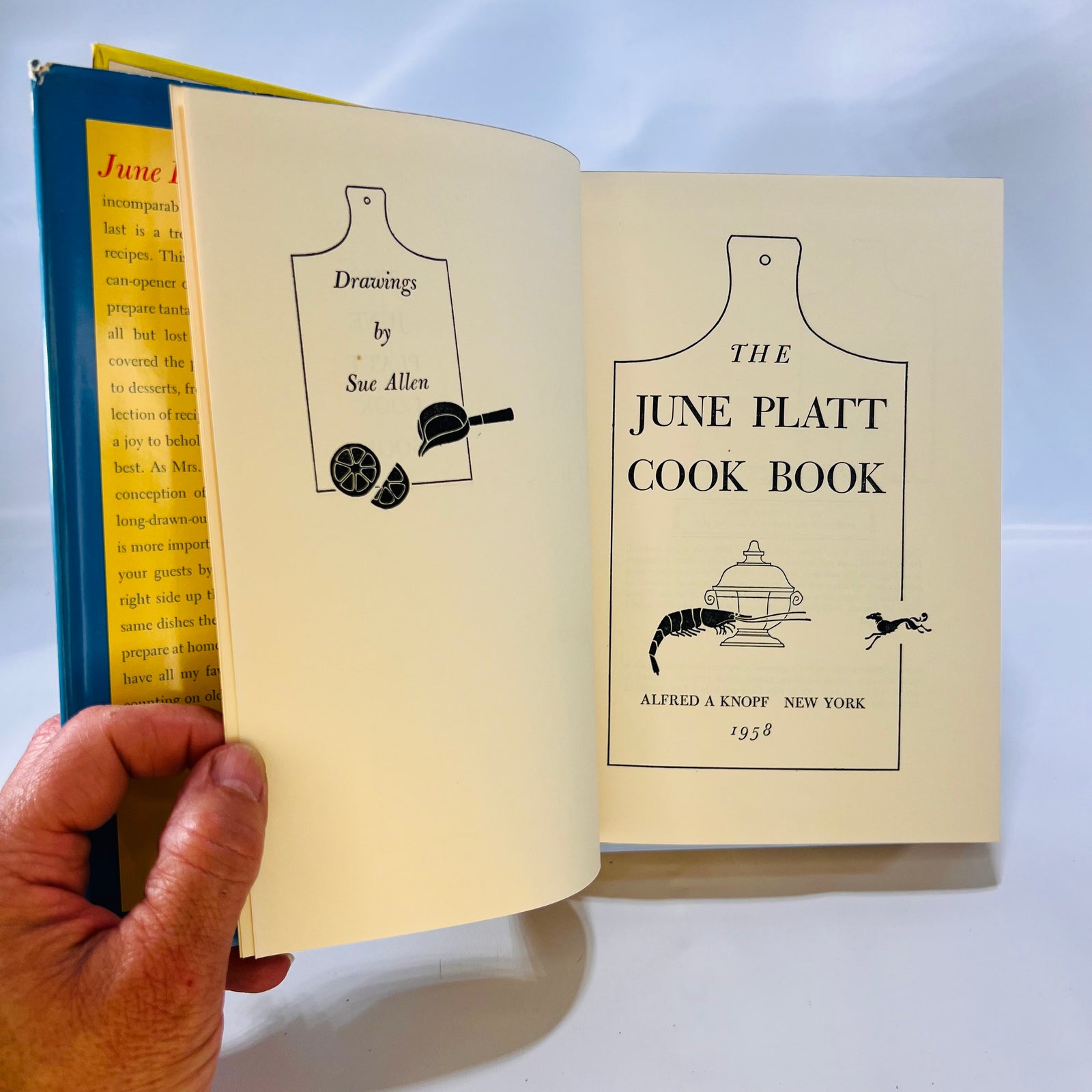 The June Platt Cook Book by June Platt 1958  Illustrated by Sue Allen Alfred A Knopf