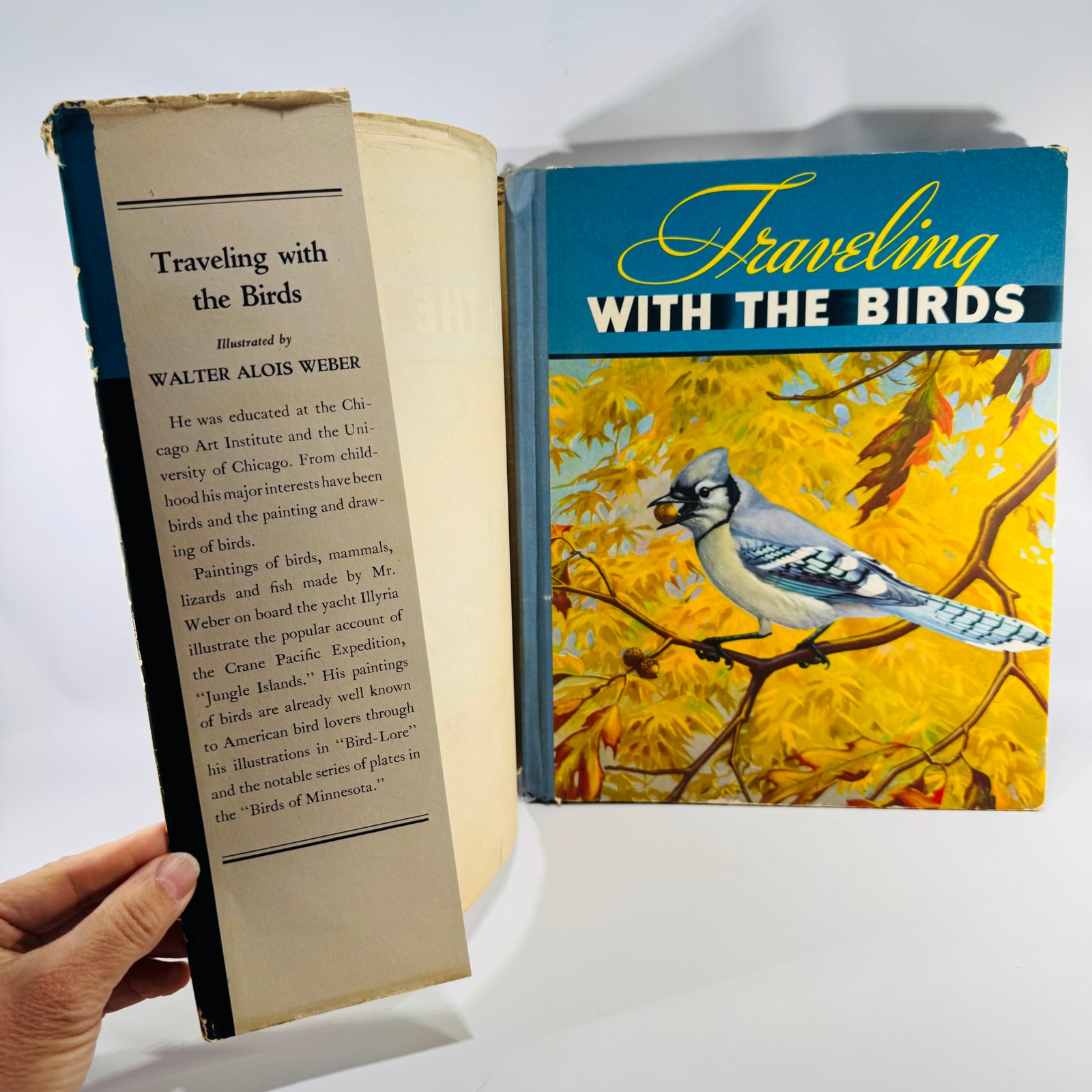 Vintage Bird Migration Illustrated Book — Traveling with the Birds (1933) — Rudyerd Boulton | Walter Alois Weber Art, Ornithology / Natural History