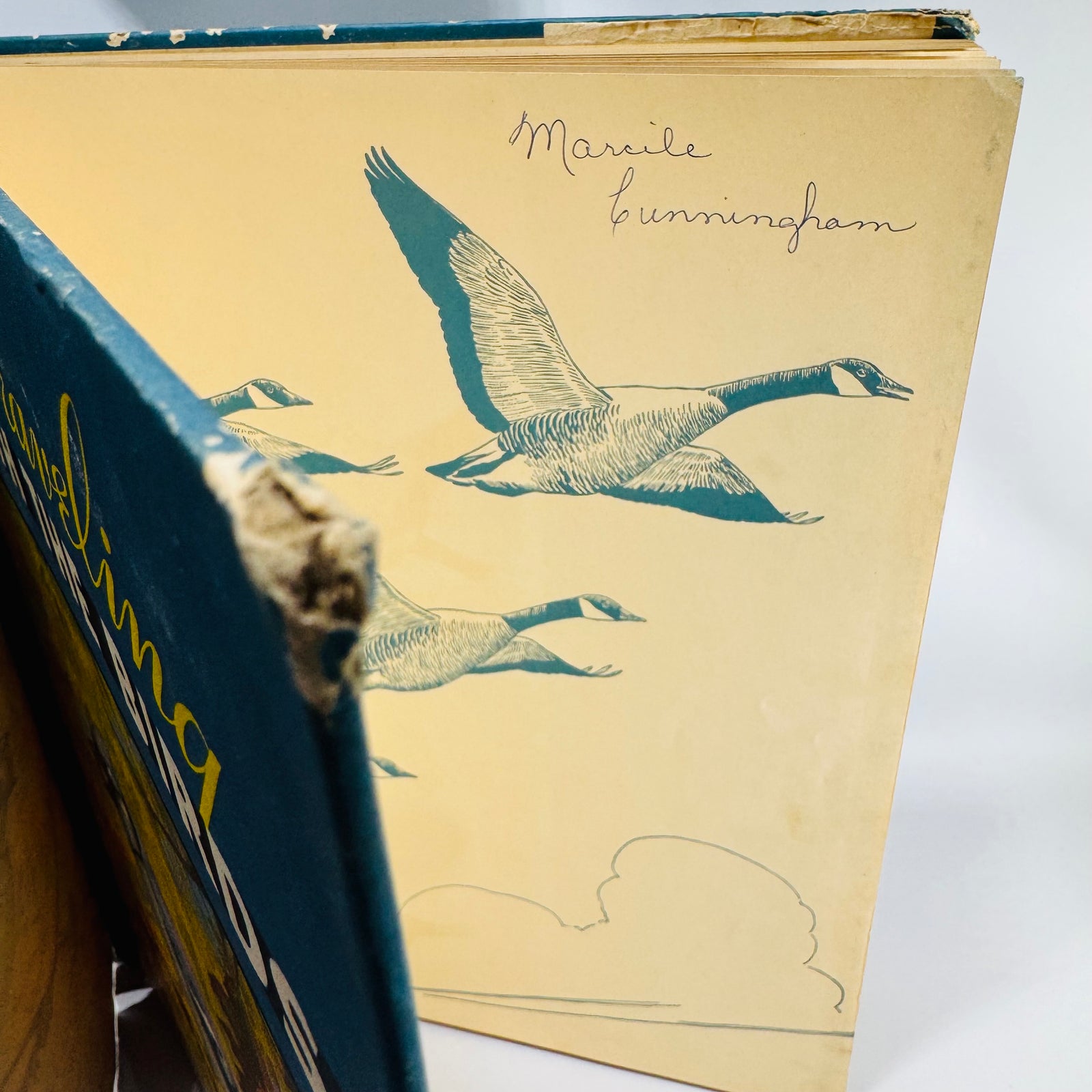 Vintage Bird Migration Illustrated Book — Traveling with the Birds (1933) — Rudyerd Boulton | Walter Alois Weber Art, Ornithology / Natural History