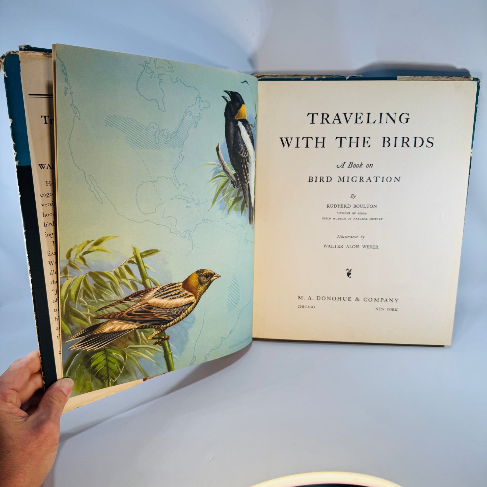 Vintage Bird Migration Illustrated Book — Traveling with the Birds (1933) — Rudyerd Boulton | Walter Alois Weber Art, Ornithology / Natural History