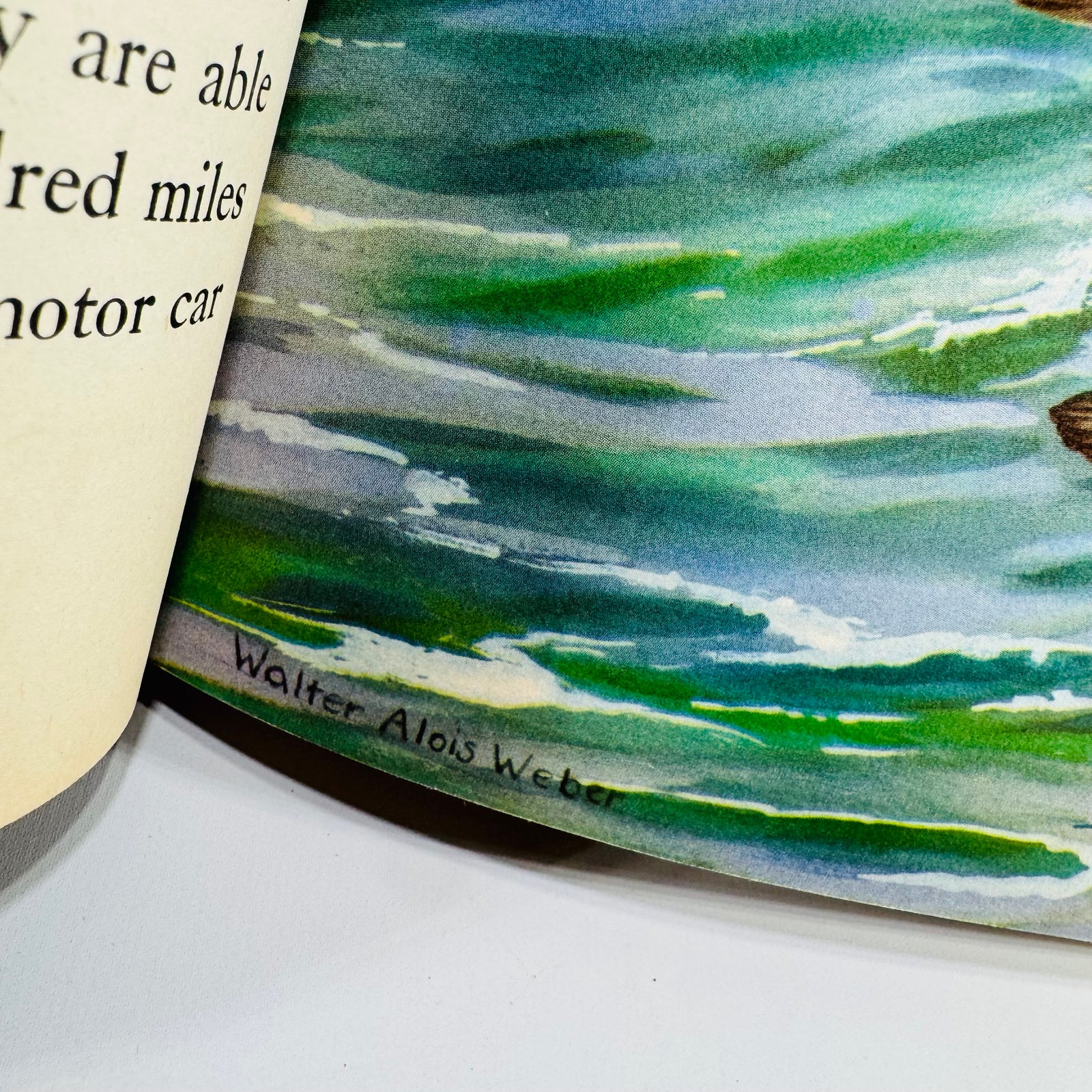 Vintage Bird Migration Illustrated Book — Traveling with the Birds (1933) — Rudyerd Boulton | Walter Alois Weber Art, Ornithology / Natural History